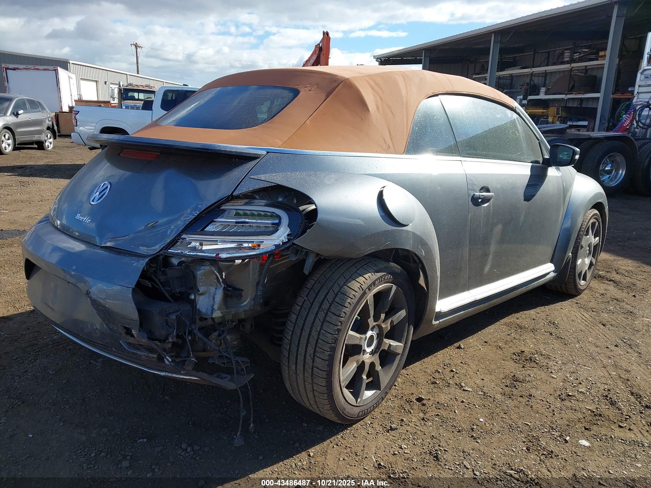 VOLKSWAGEN BEETLE image 6