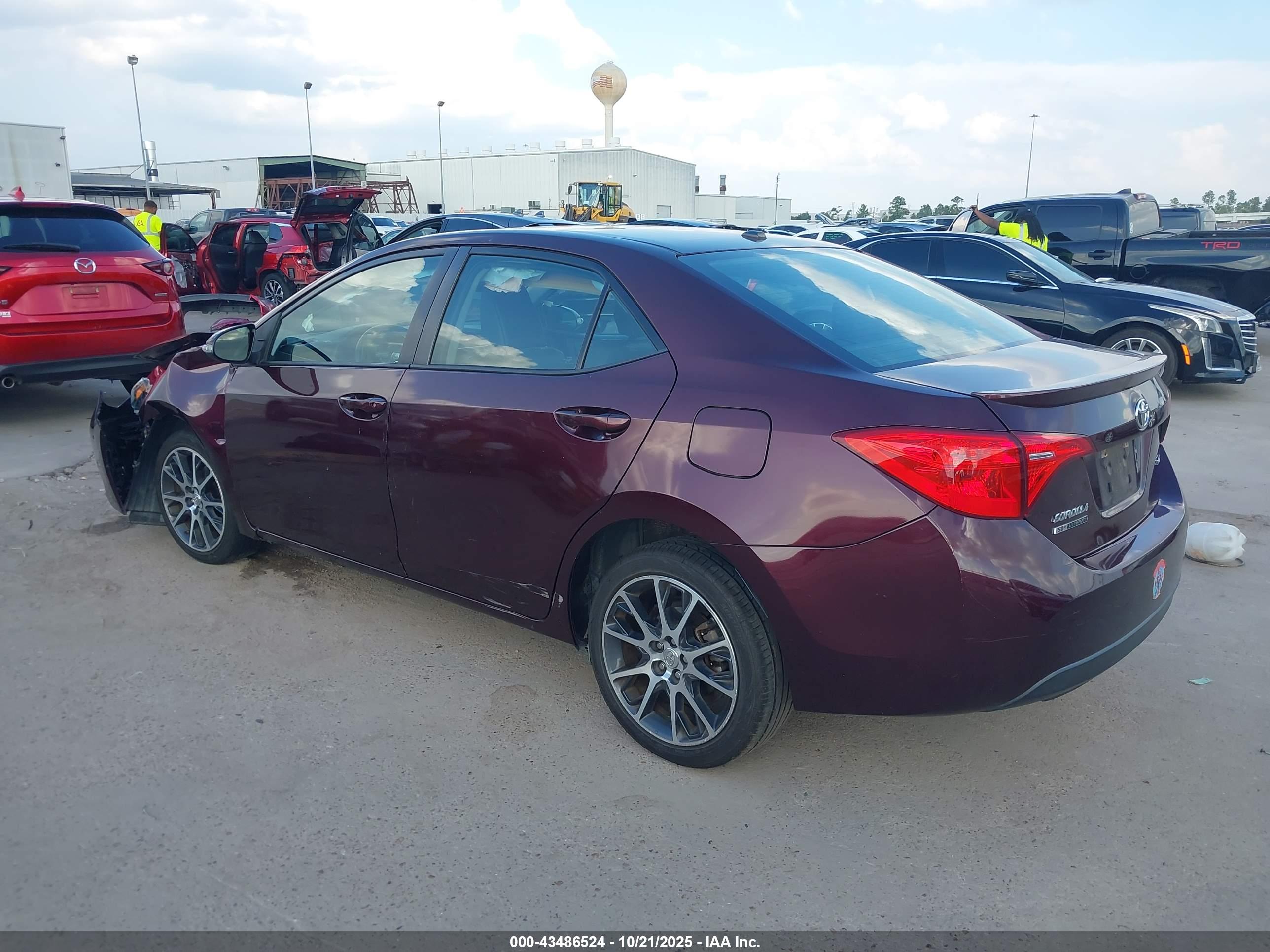 TOYOTA COROLLA image 3