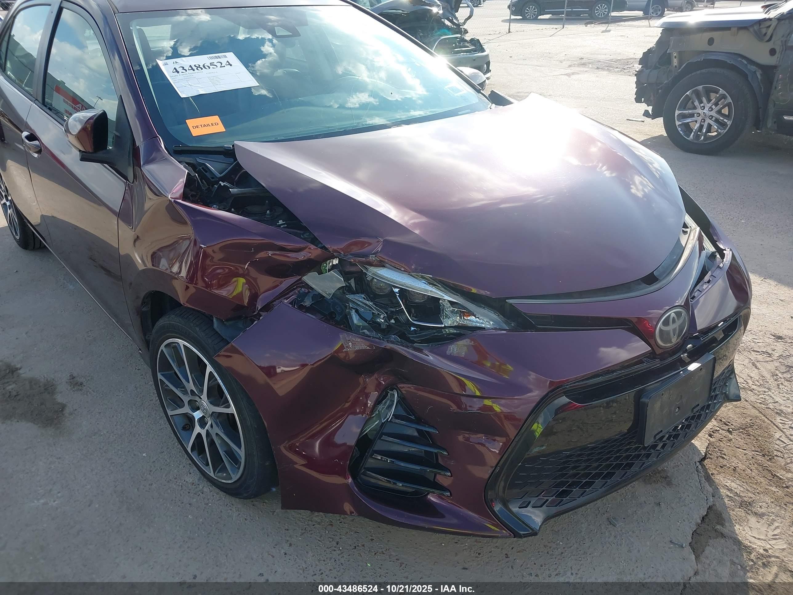 TOYOTA COROLLA image 6