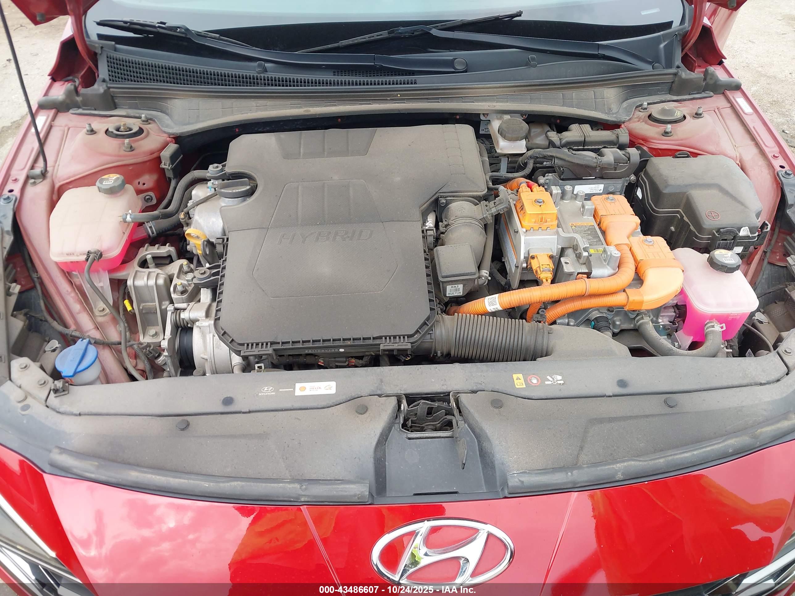 HYUNDAI ELANTRA image 10