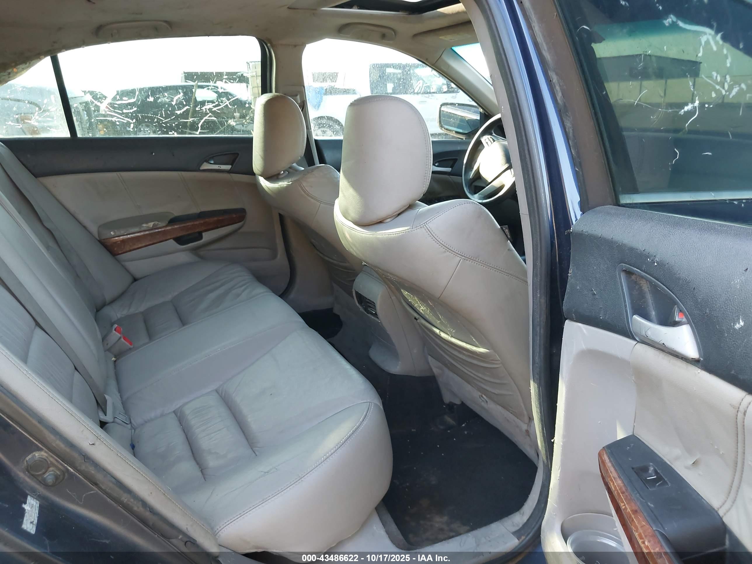 HONDA ACCORD image 8
