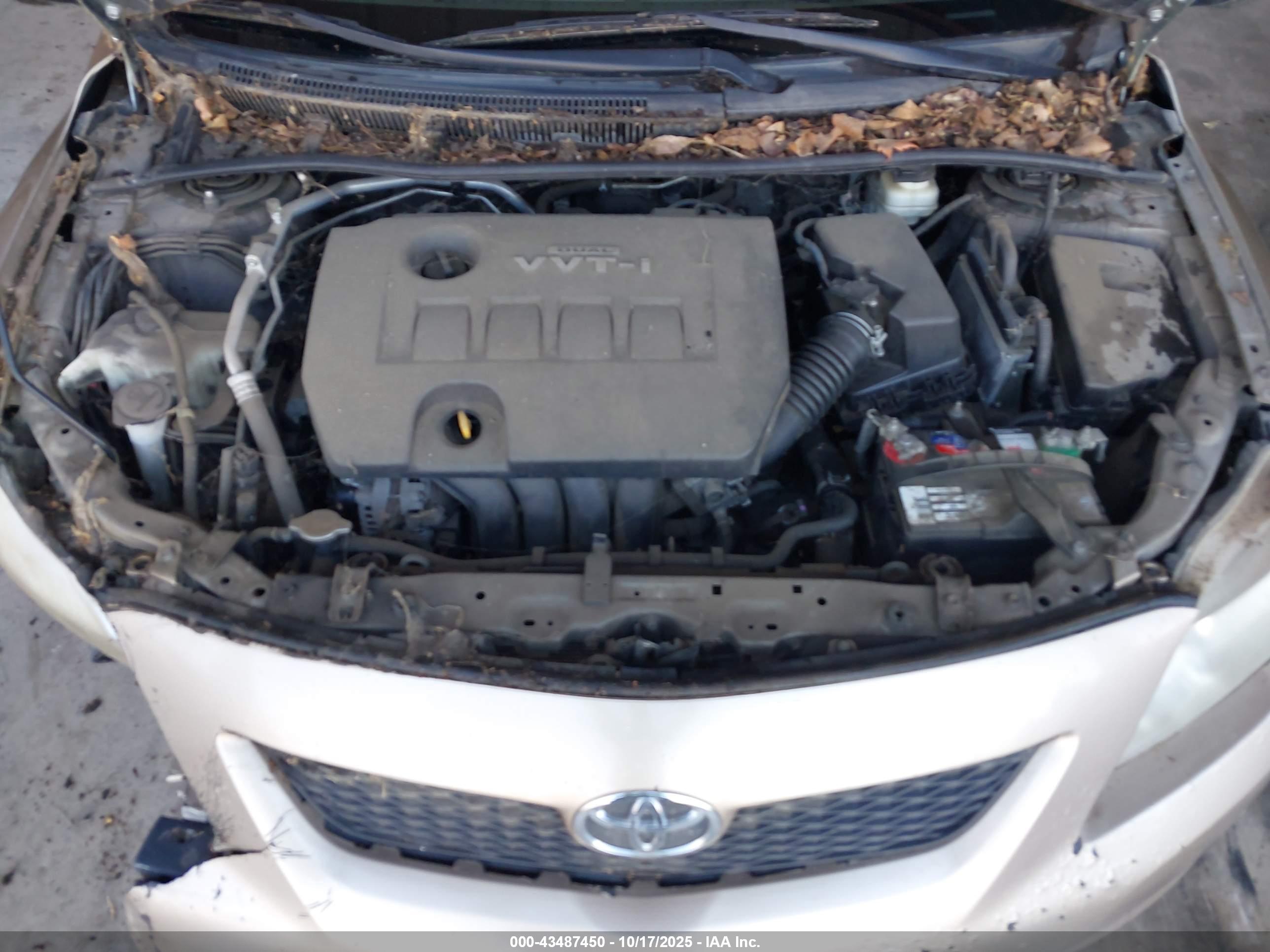 TOYOTA COROLLA image 10