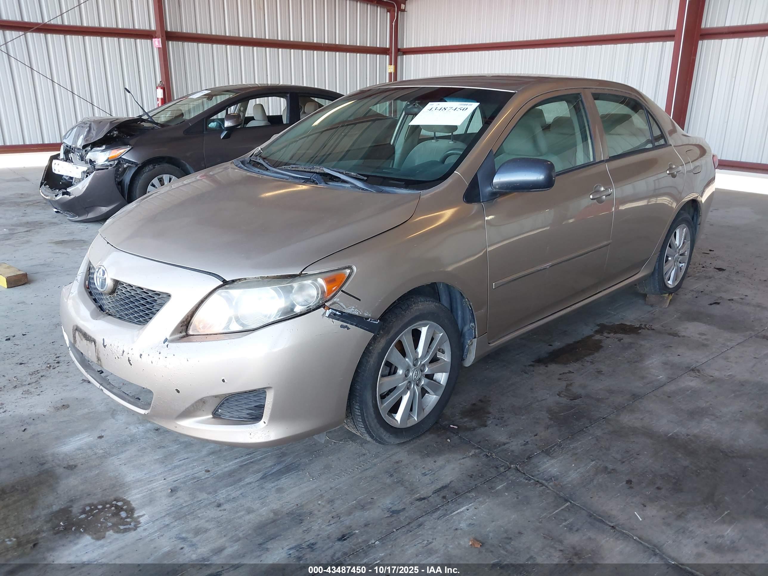 TOYOTA COROLLA image 2