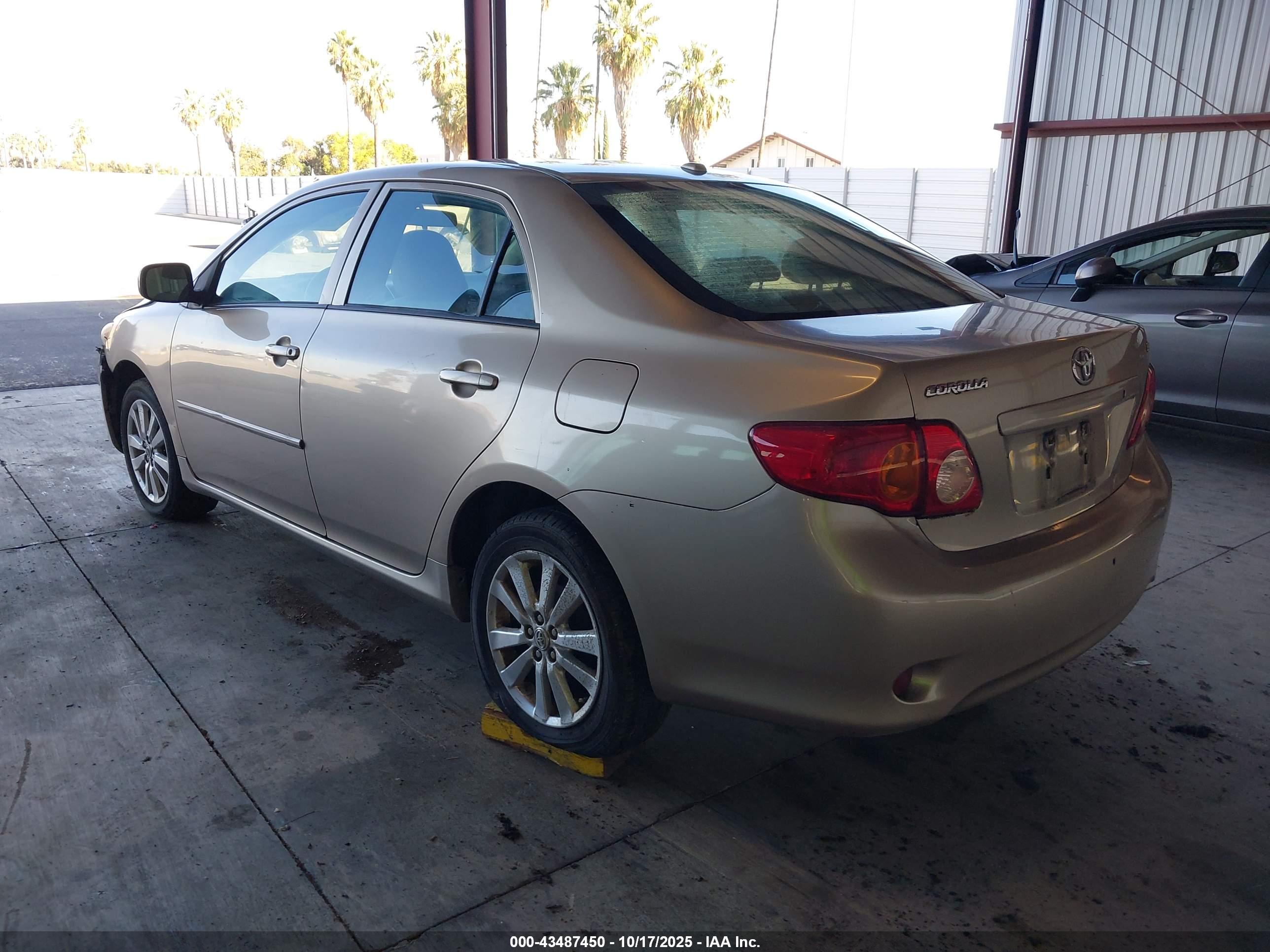 TOYOTA COROLLA image 3