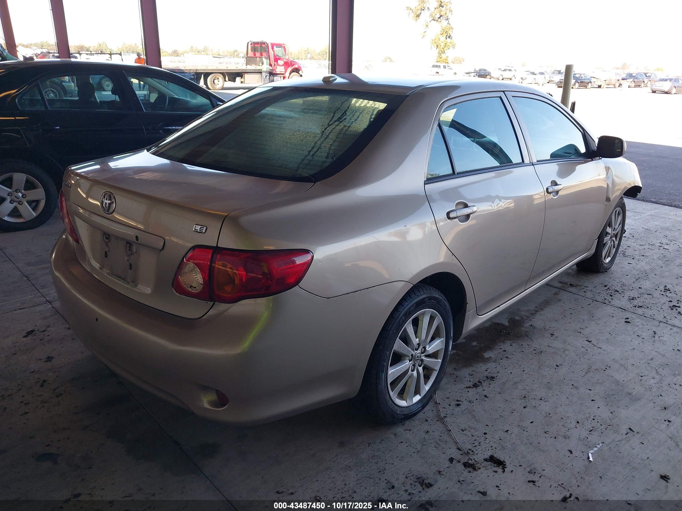 TOYOTA COROLLA image 4