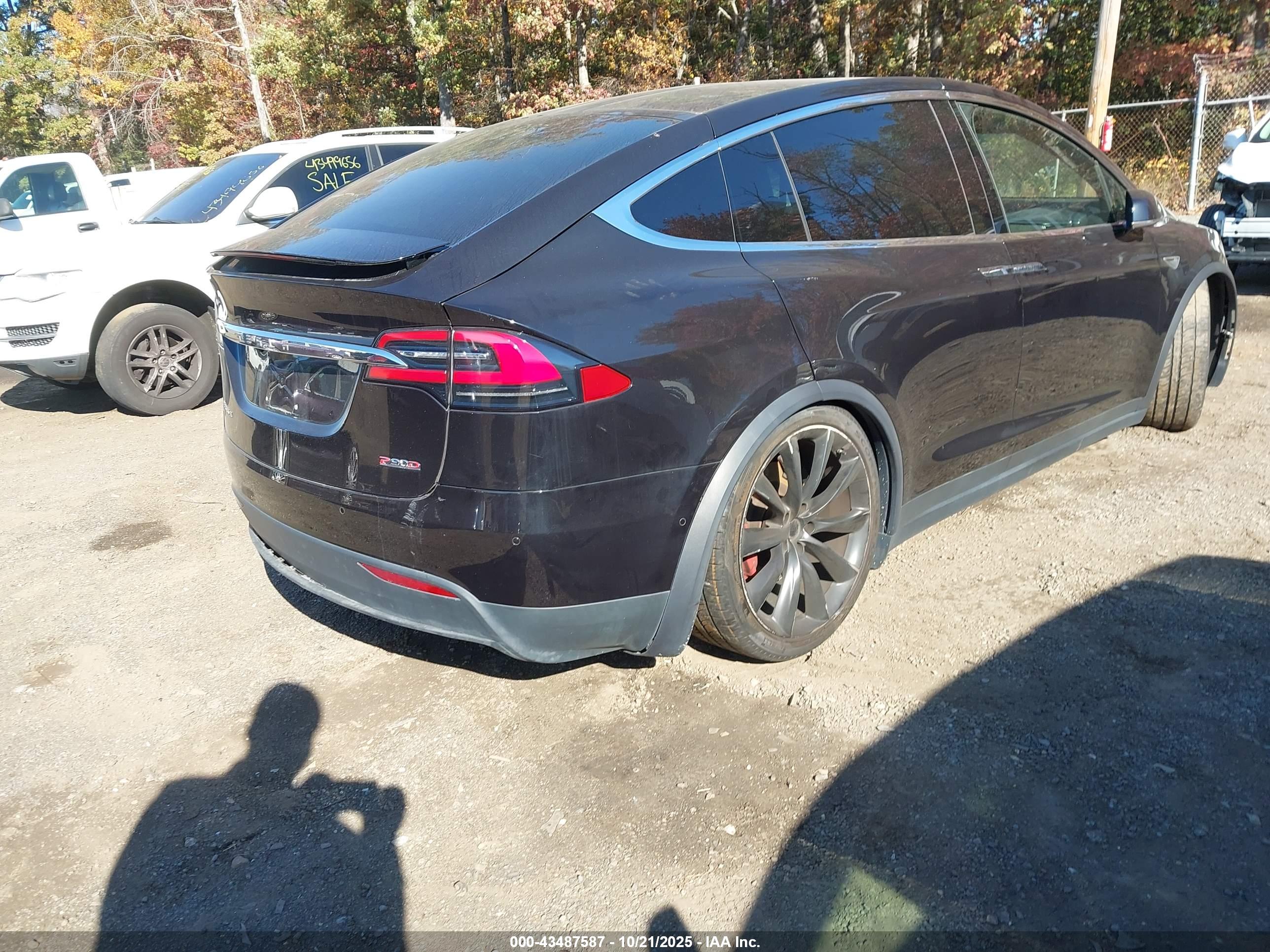 TESLA MODEL image 4