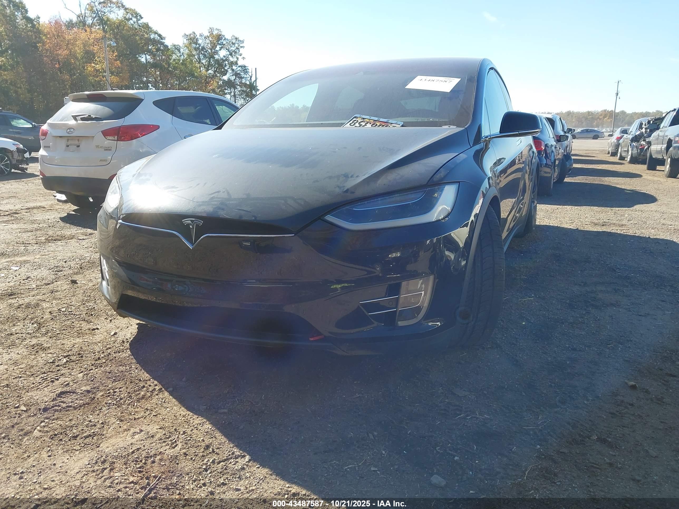 TESLA MODEL image 6
