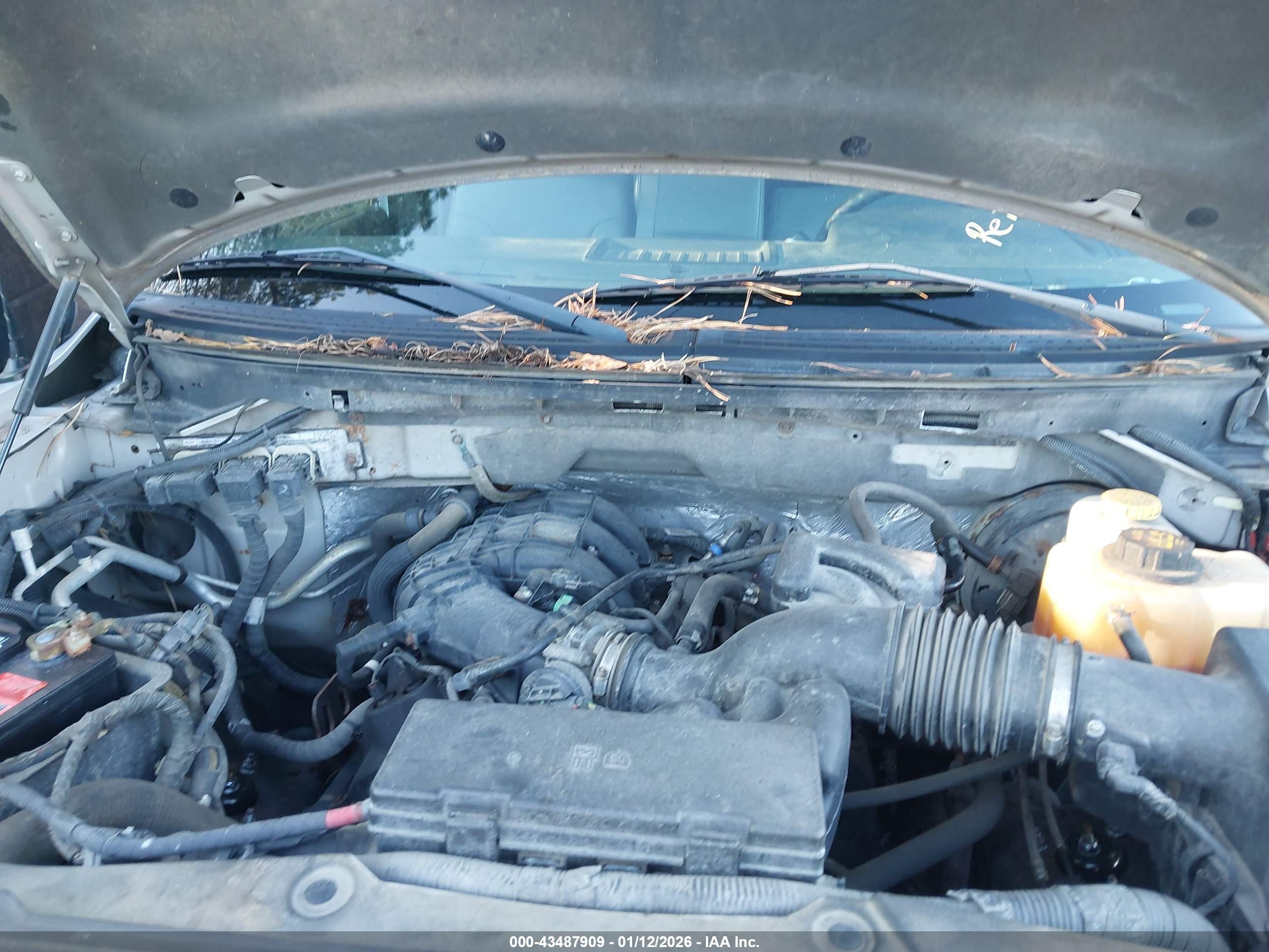 FORD F-150 image 10