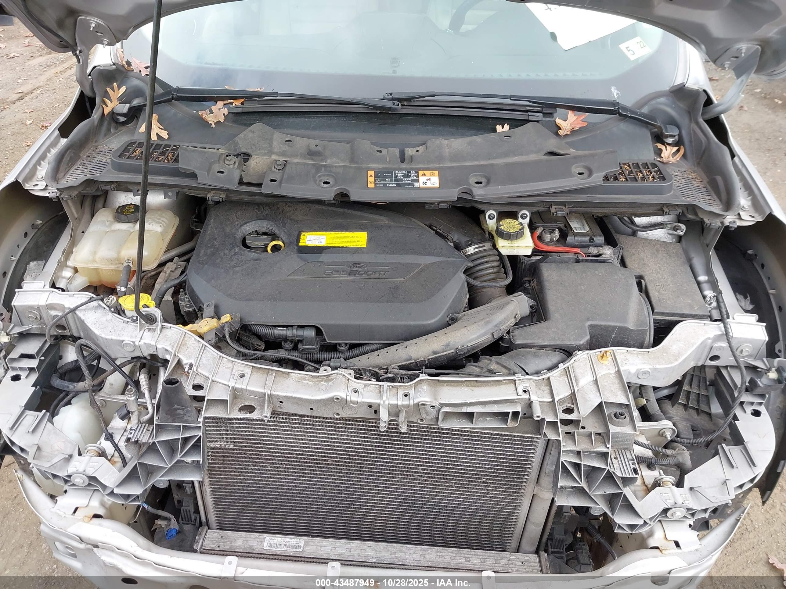 FORD ESCAPE image 10