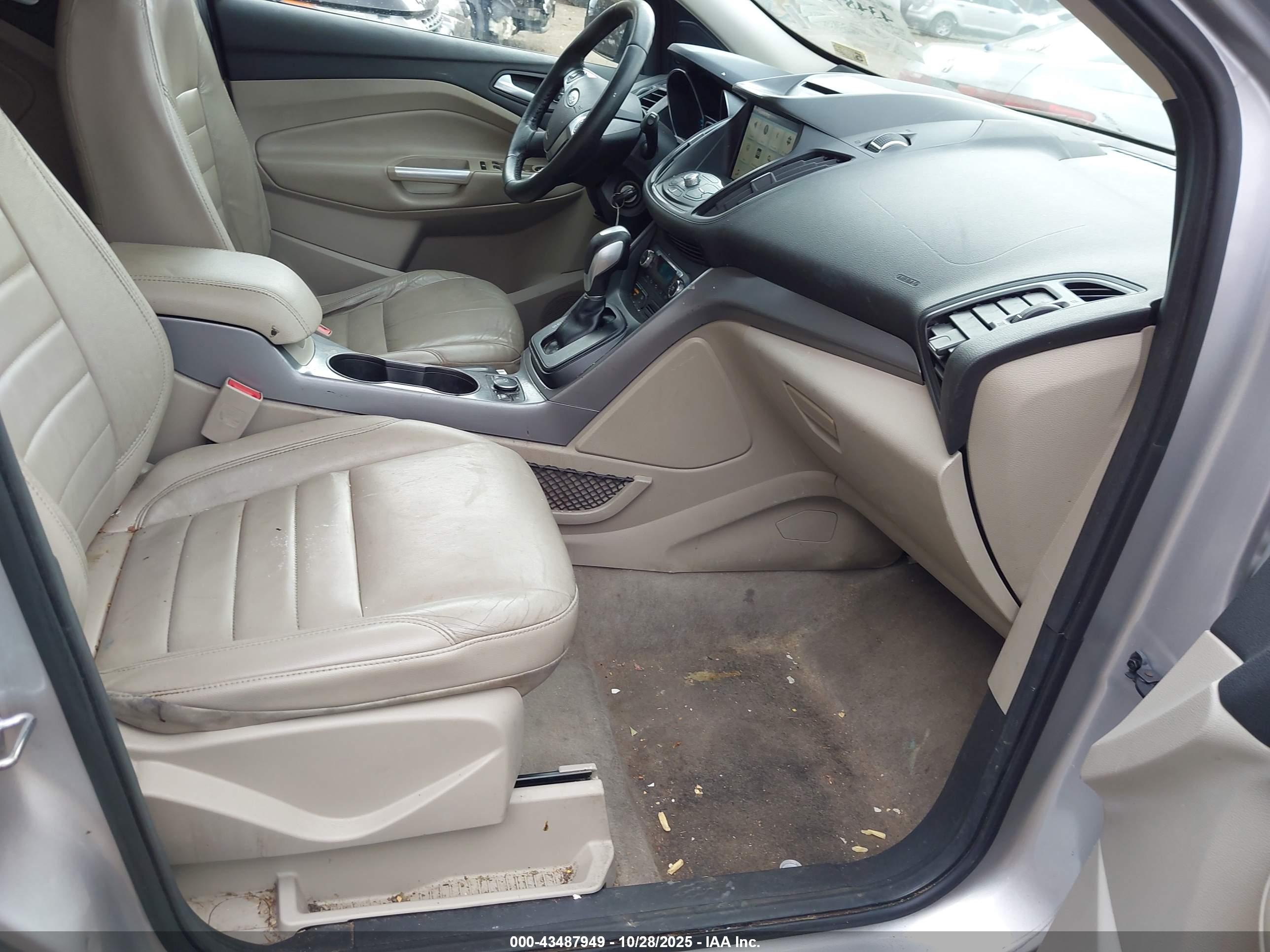 FORD ESCAPE image 5
