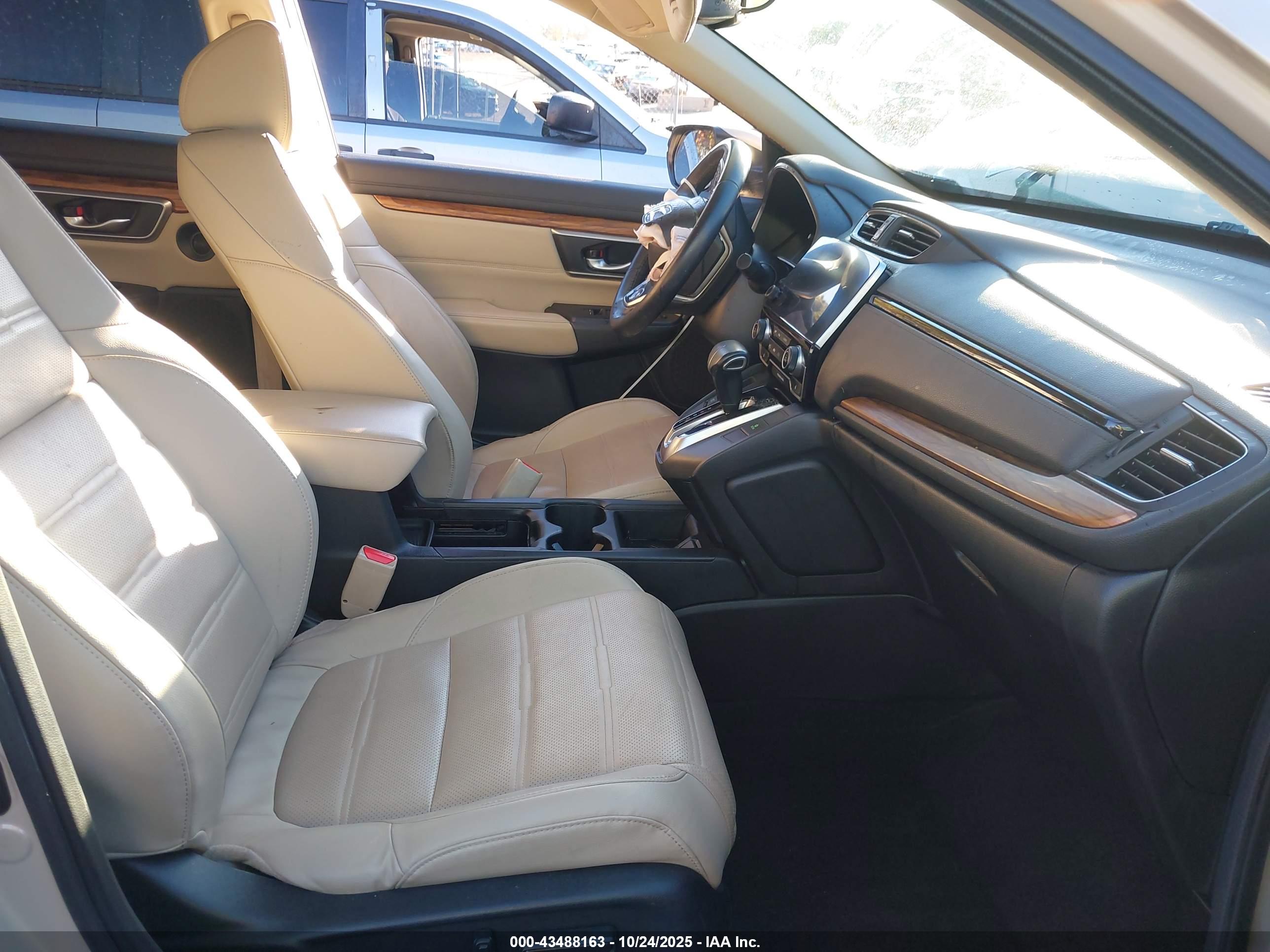 HONDA CR-V image 5
