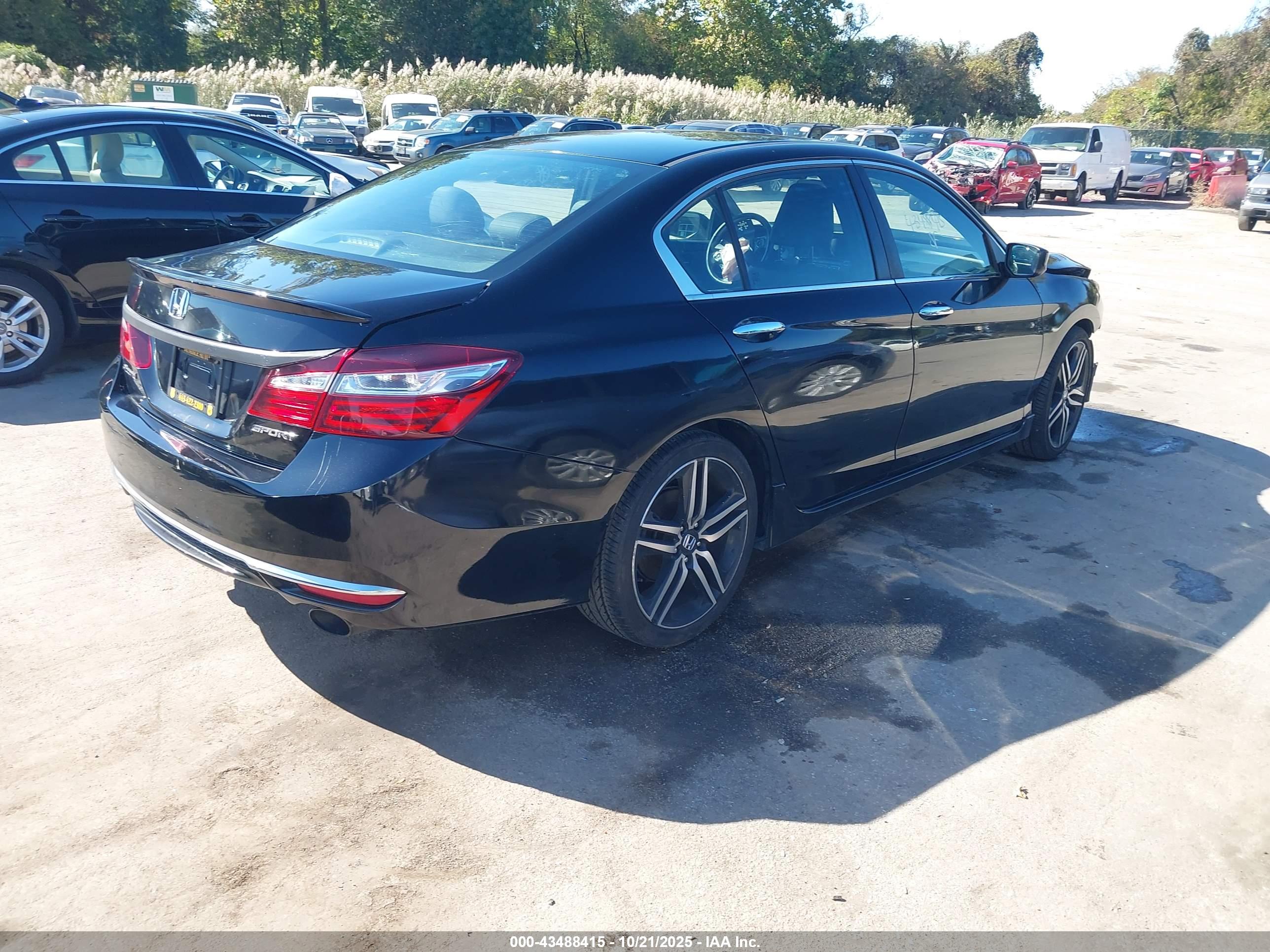 HONDA ACCORD image 4