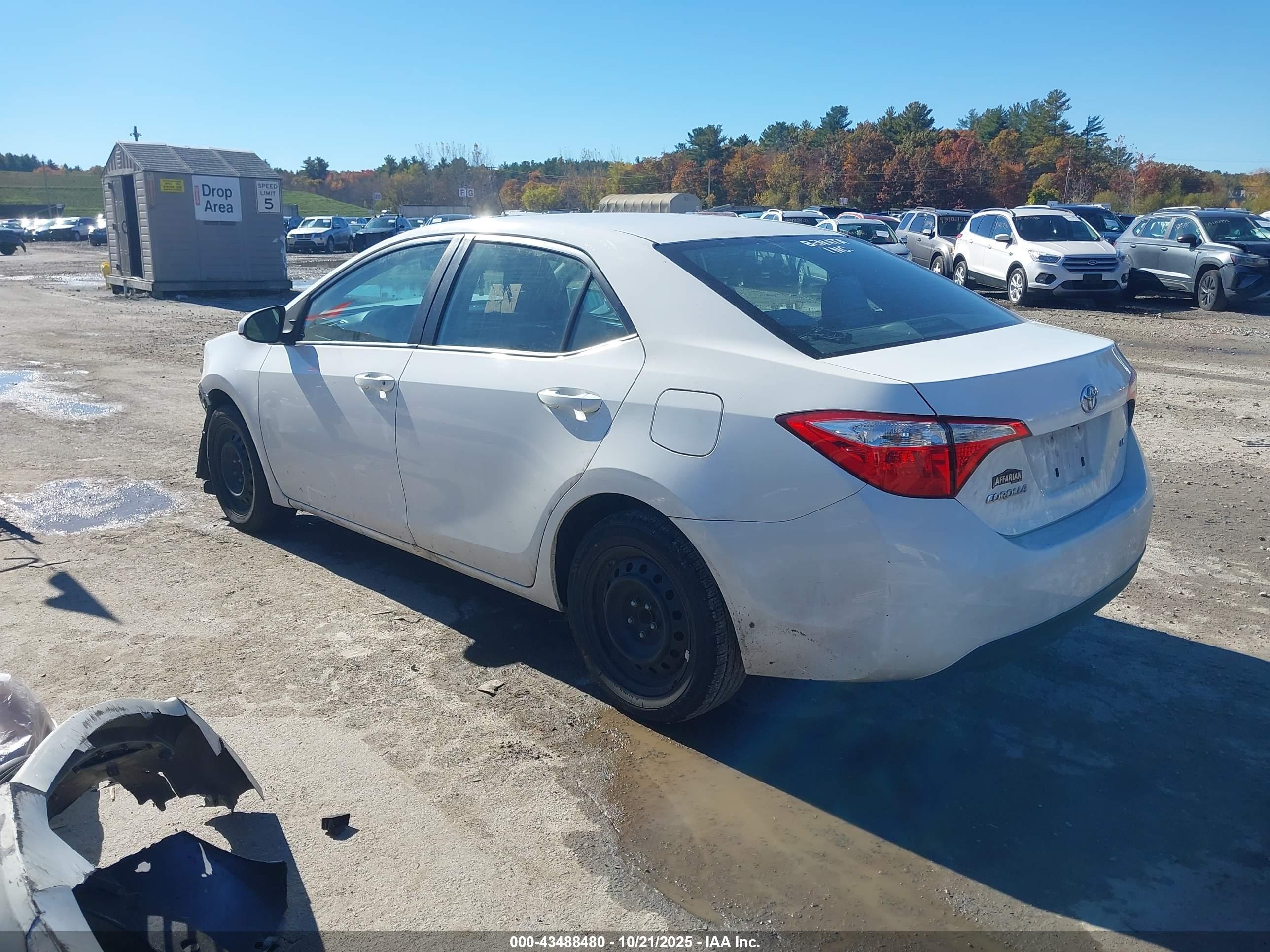 TOYOTA COROLLA image 3
