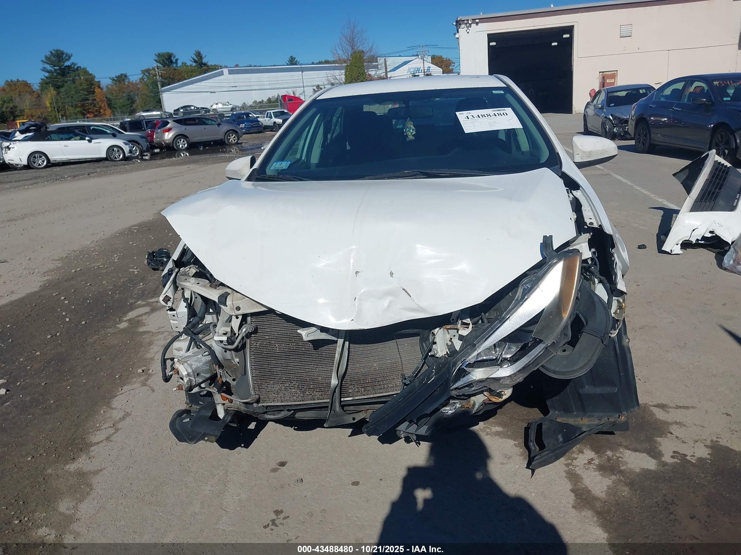 TOYOTA COROLLA image 6