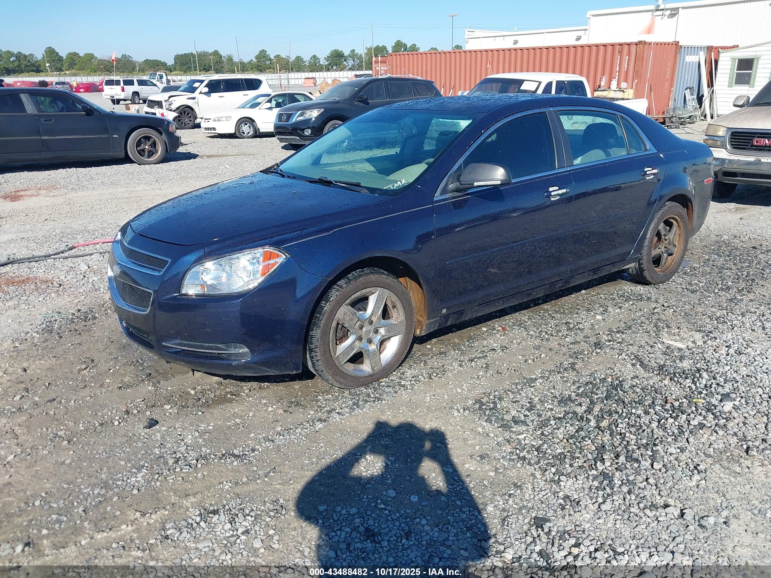 CHEVROLET MALIBU image 2