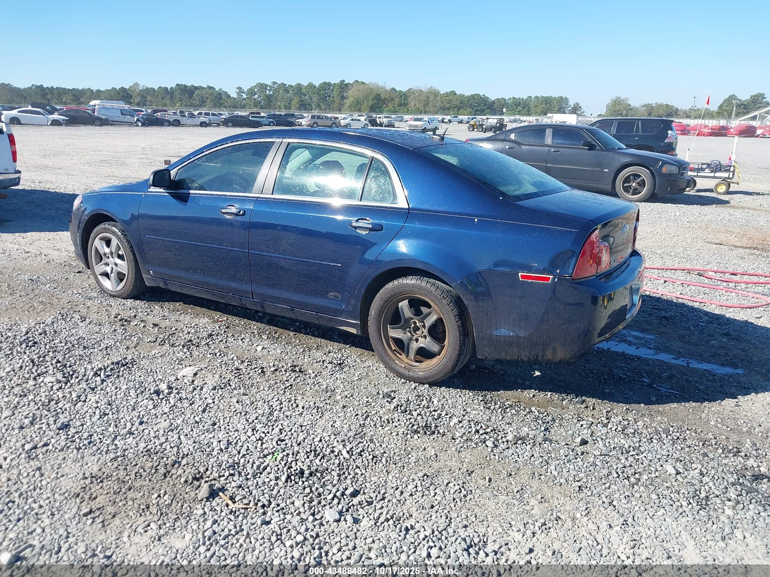 CHEVROLET MALIBU image 3