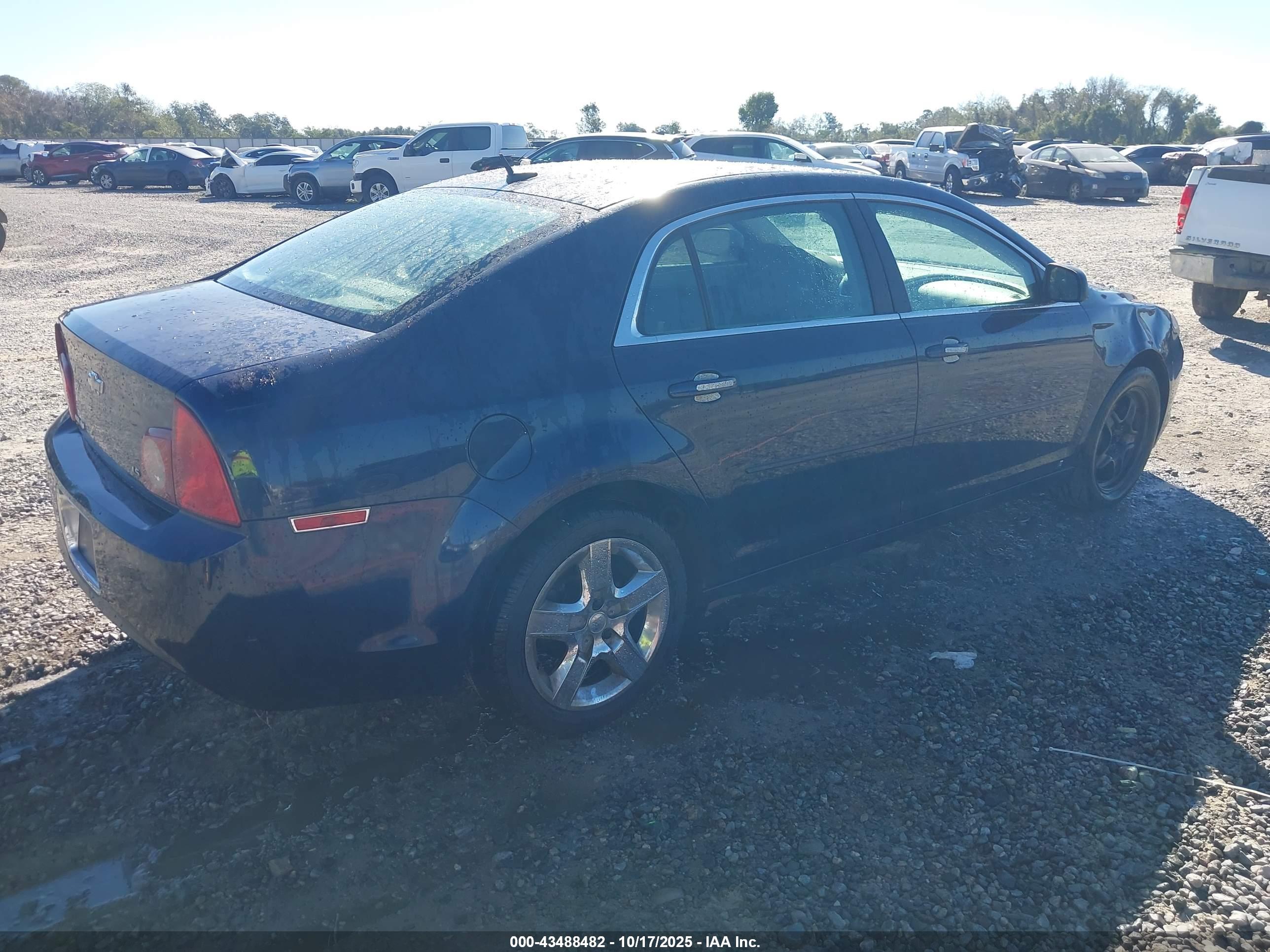 CHEVROLET MALIBU image 4