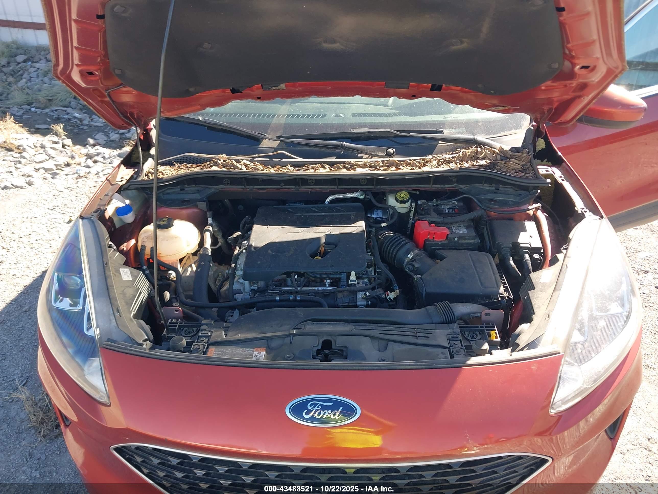 FORD ESCAPE image 10