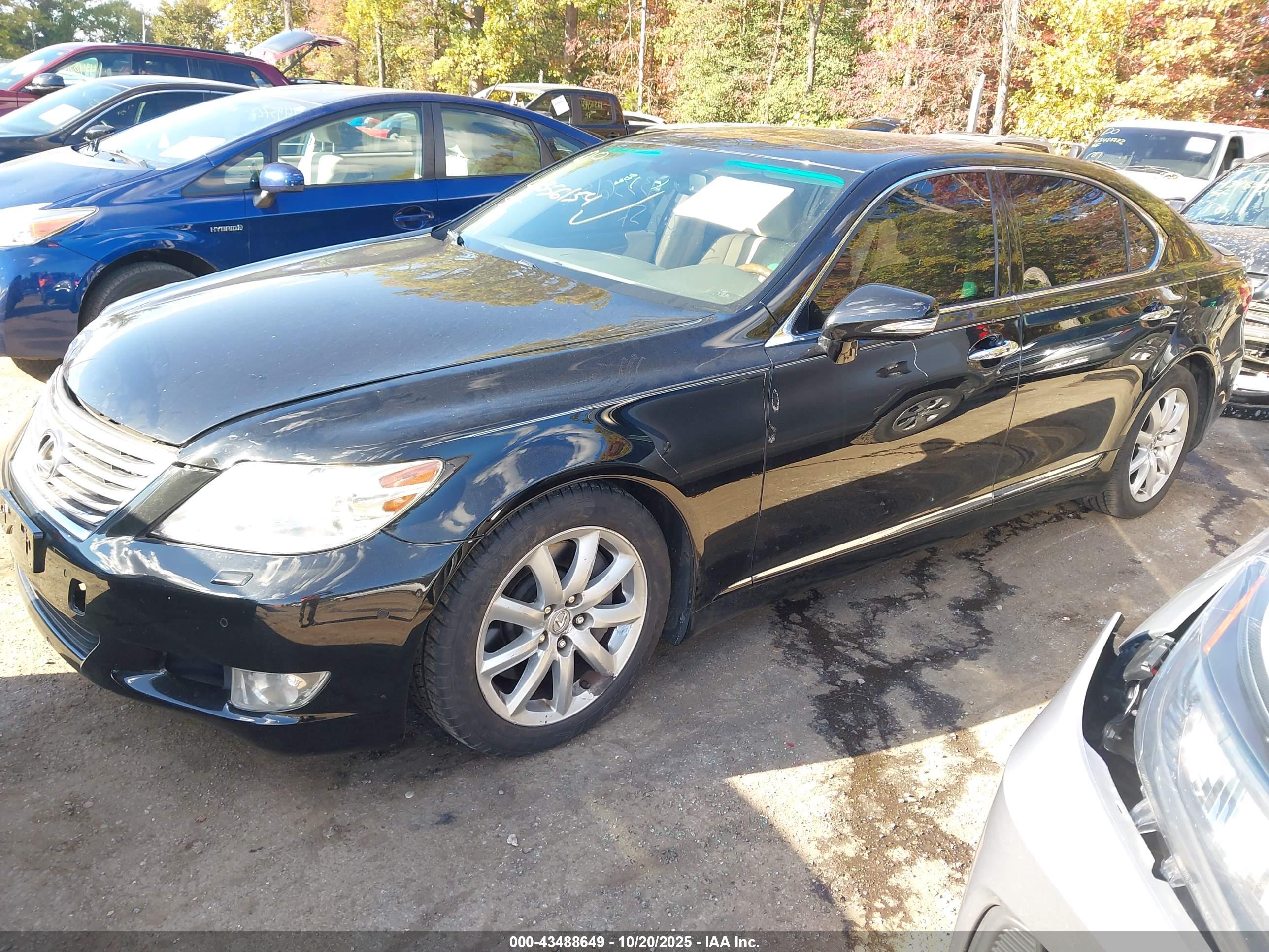 LEXUS LS image 2
