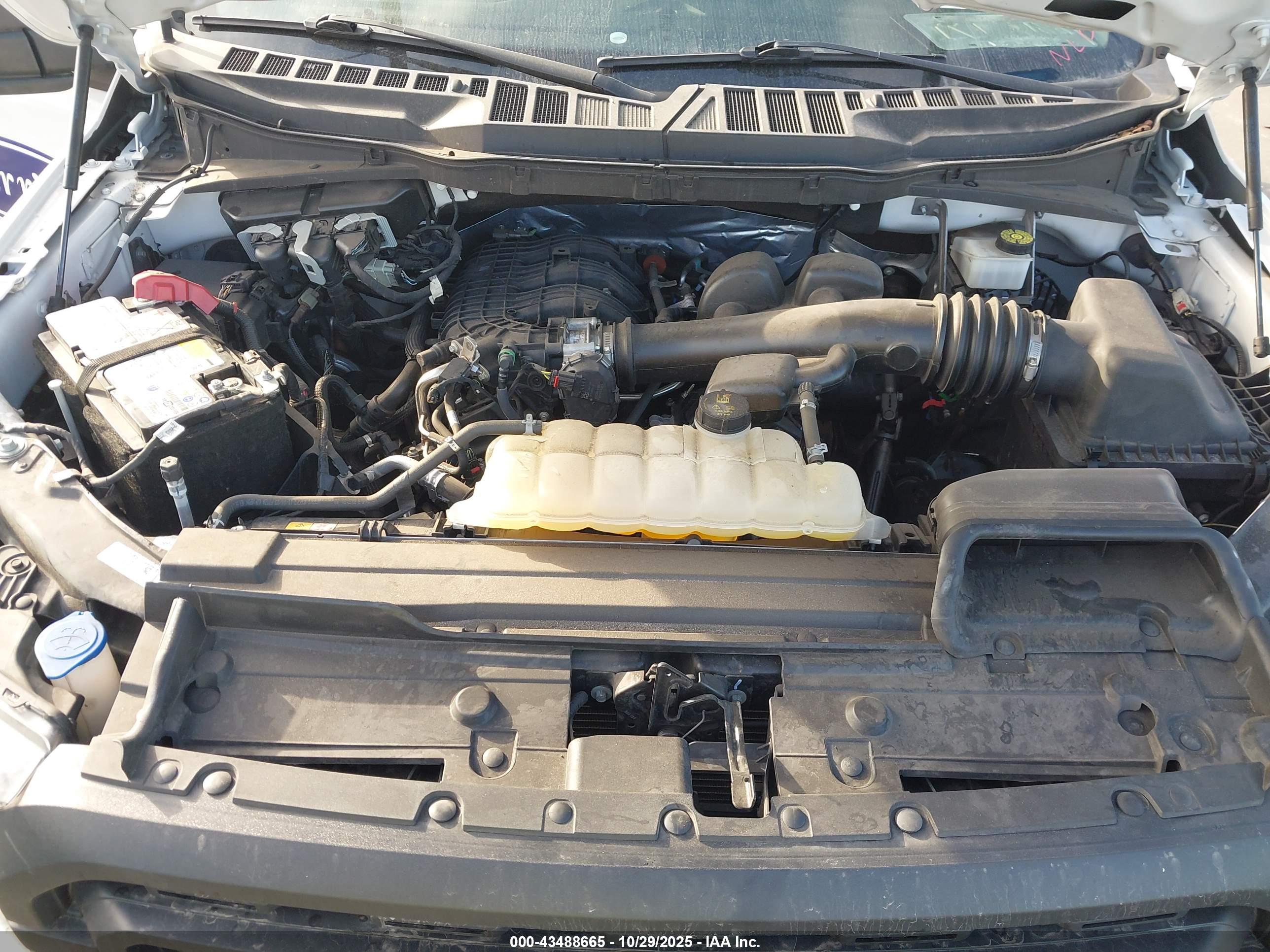 FORD F-150 image 10