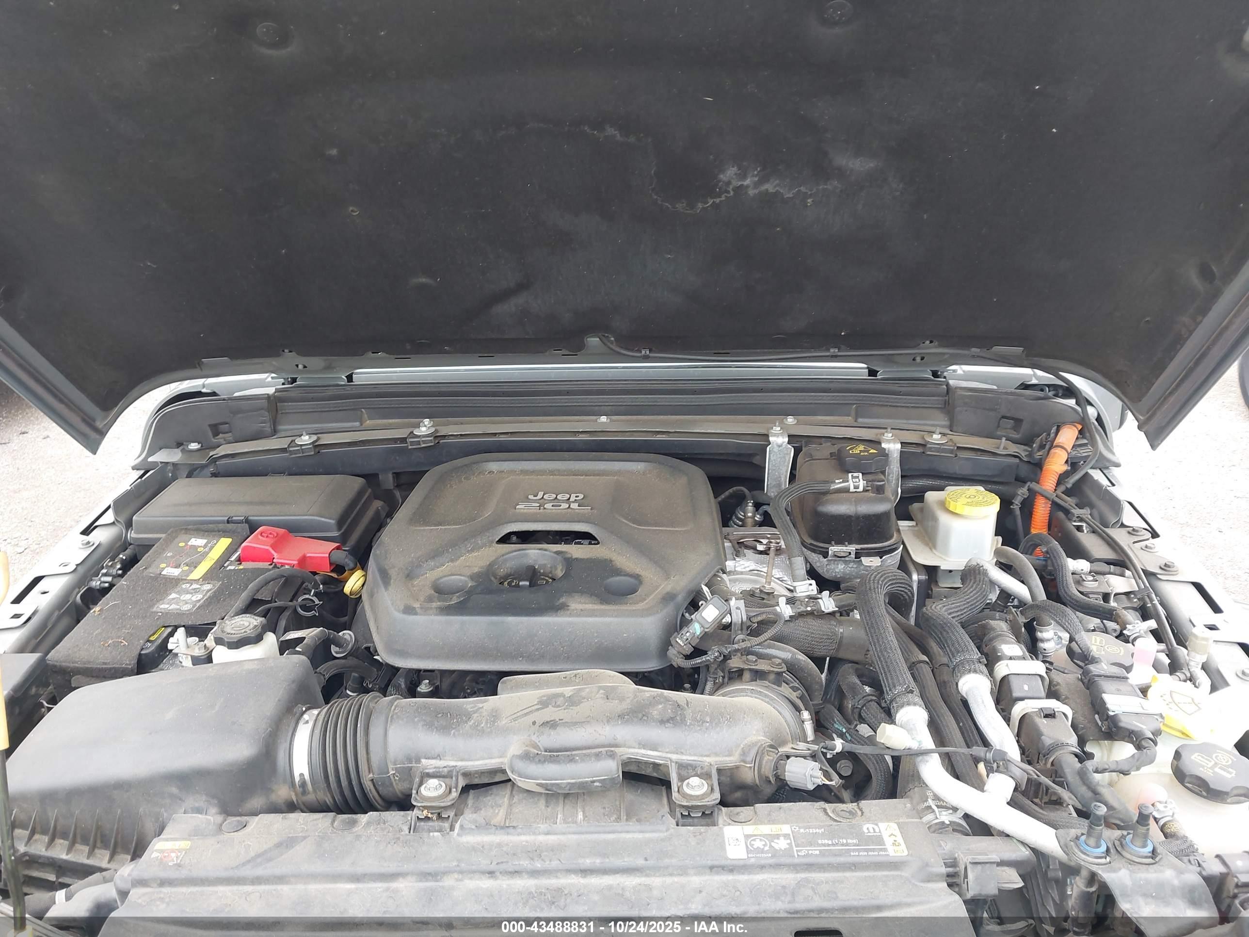 JEEP WRANGLER image 10