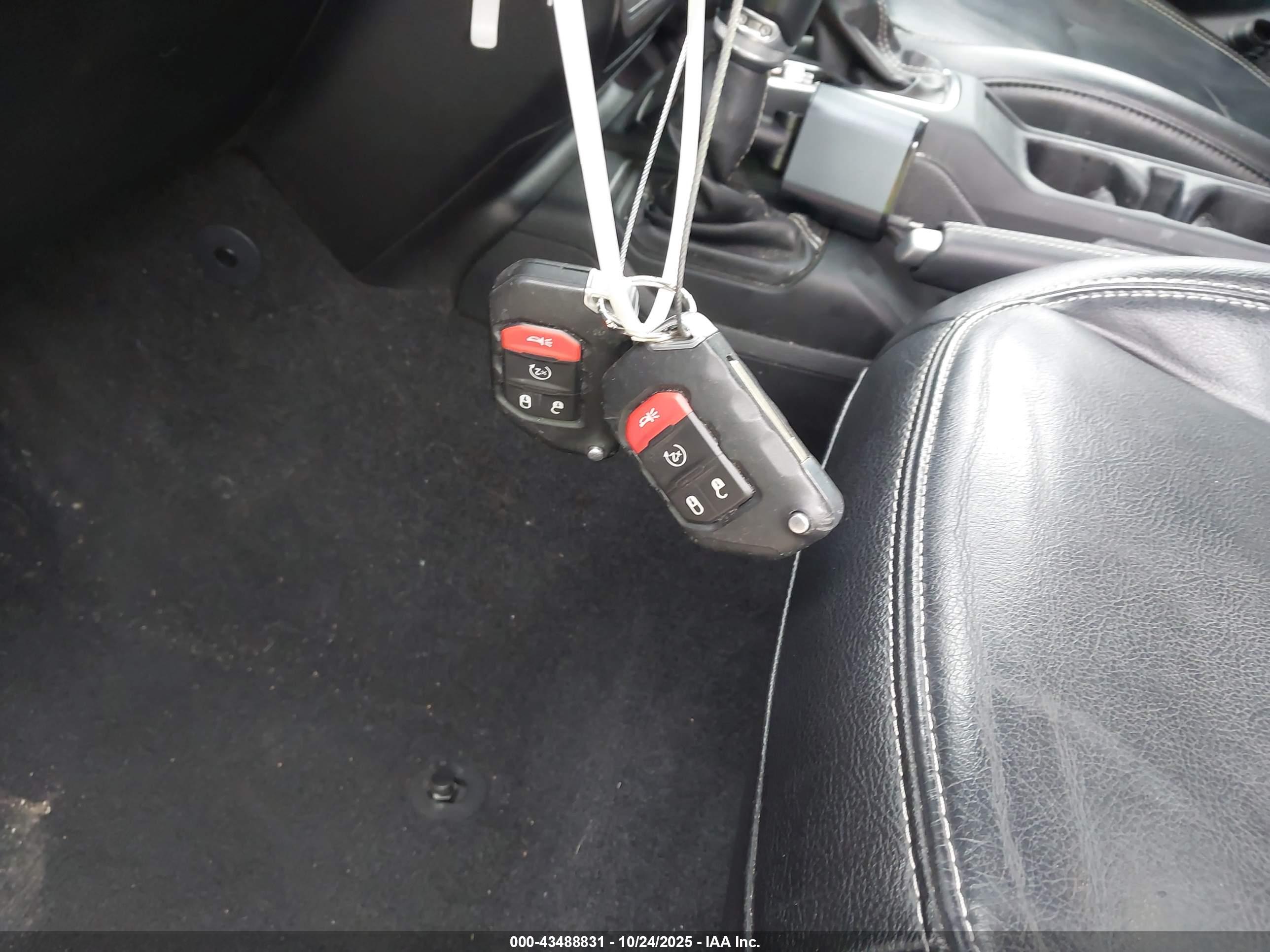 JEEP WRANGLER image 11