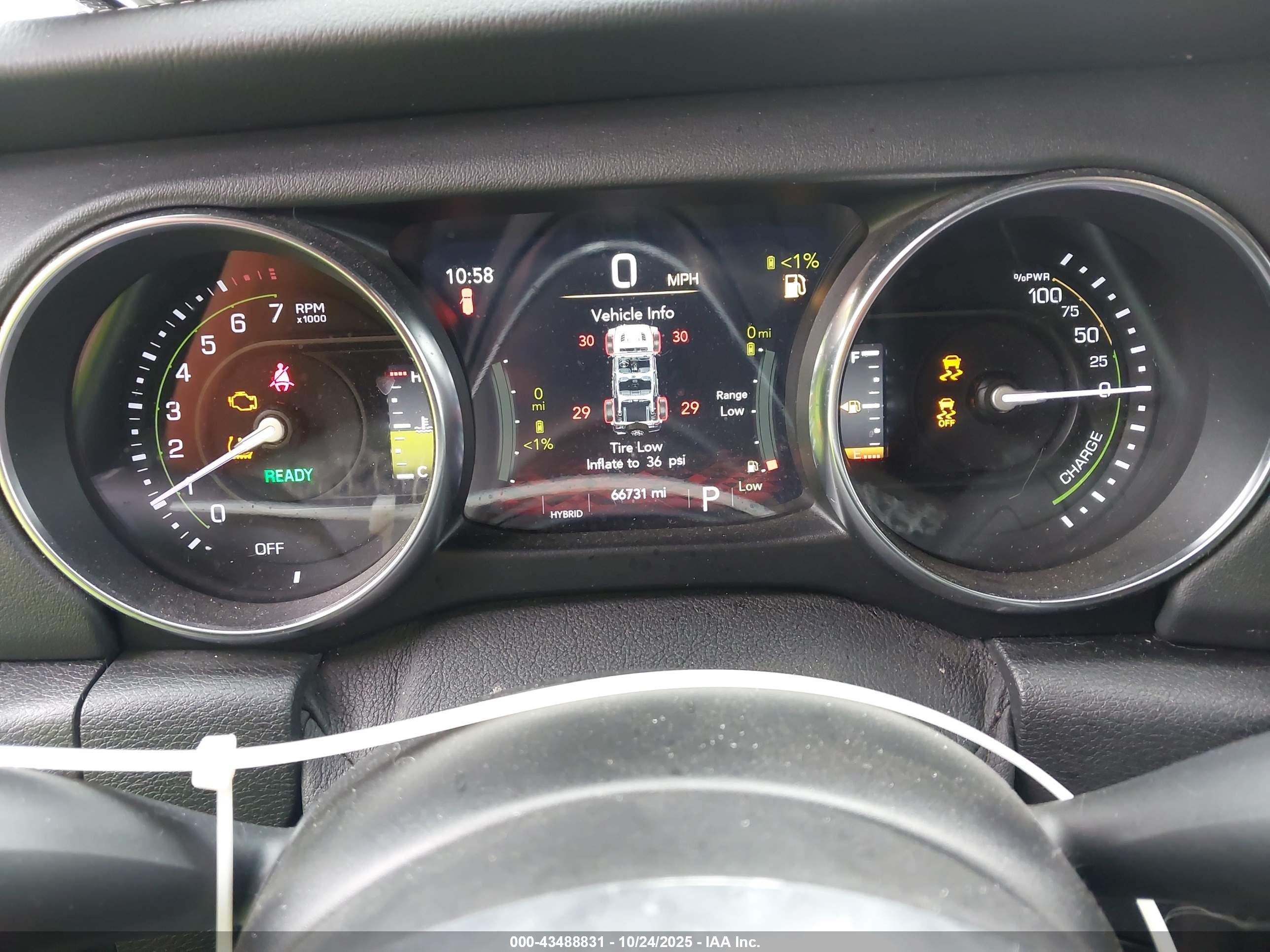 JEEP WRANGLER image 7