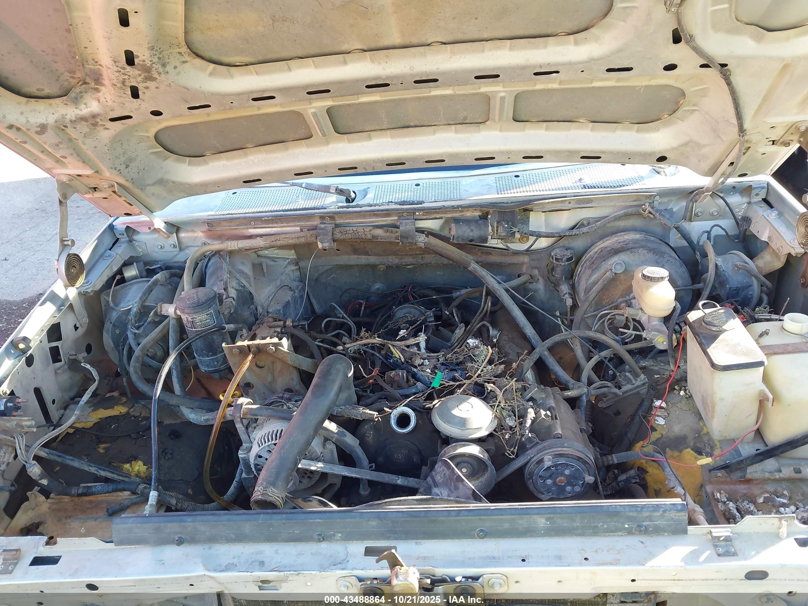 FORD F250 image 10