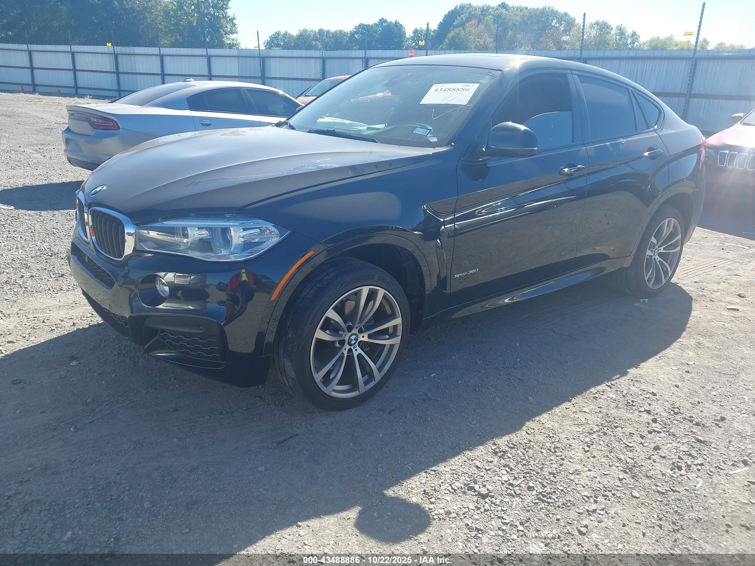 BMW X6 image 2