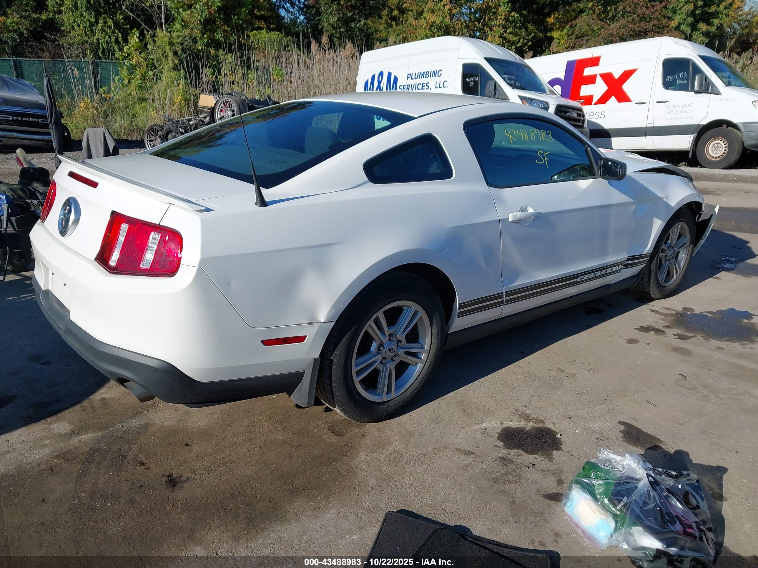 FORD MUSTANG image 4
