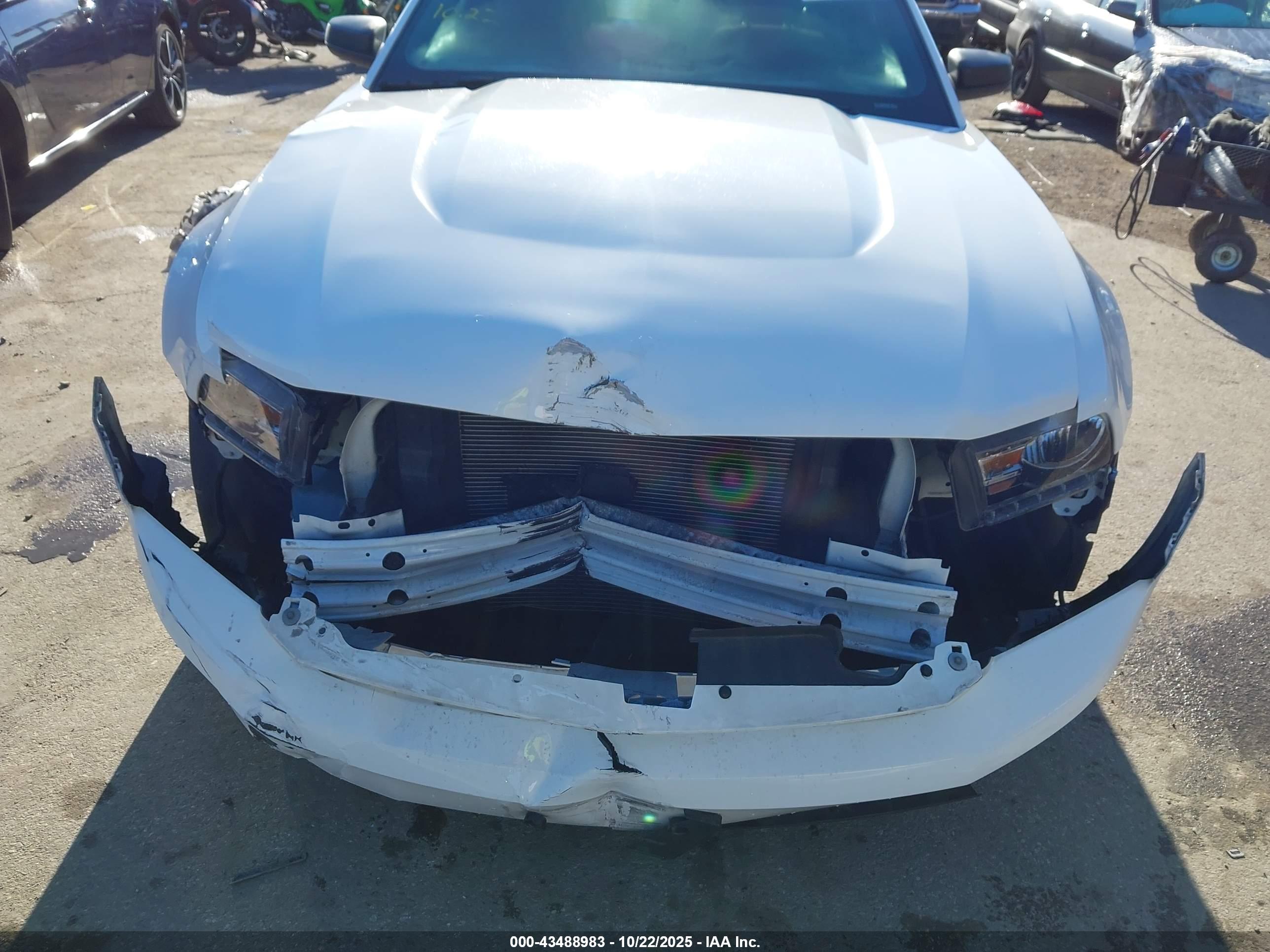 FORD MUSTANG image 6