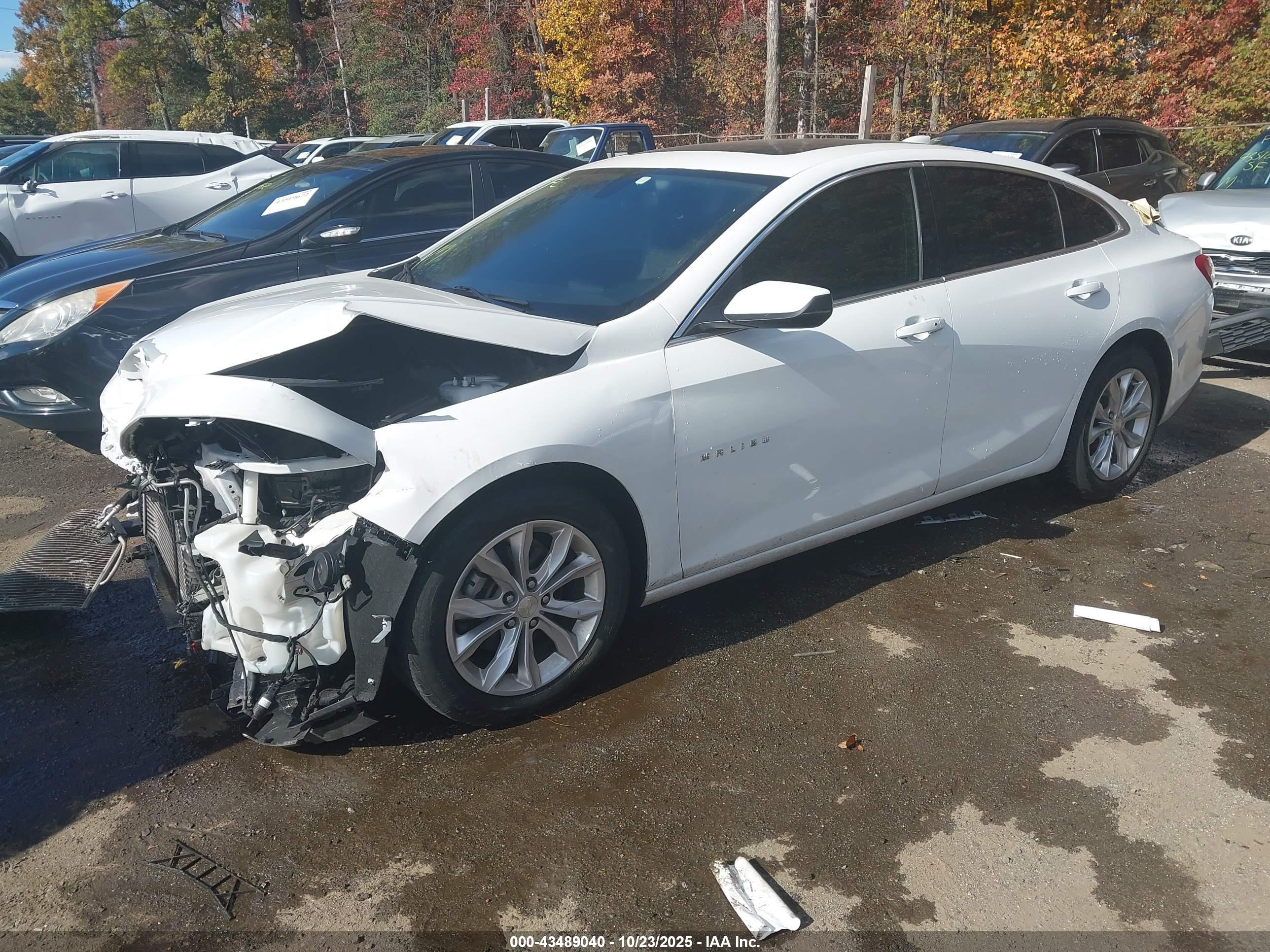 CHEVROLET MALIBU image 2