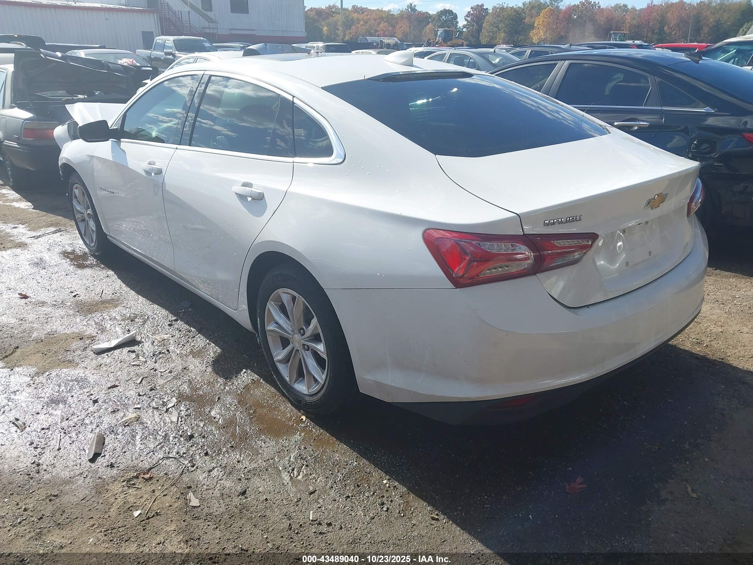 CHEVROLET MALIBU image 3