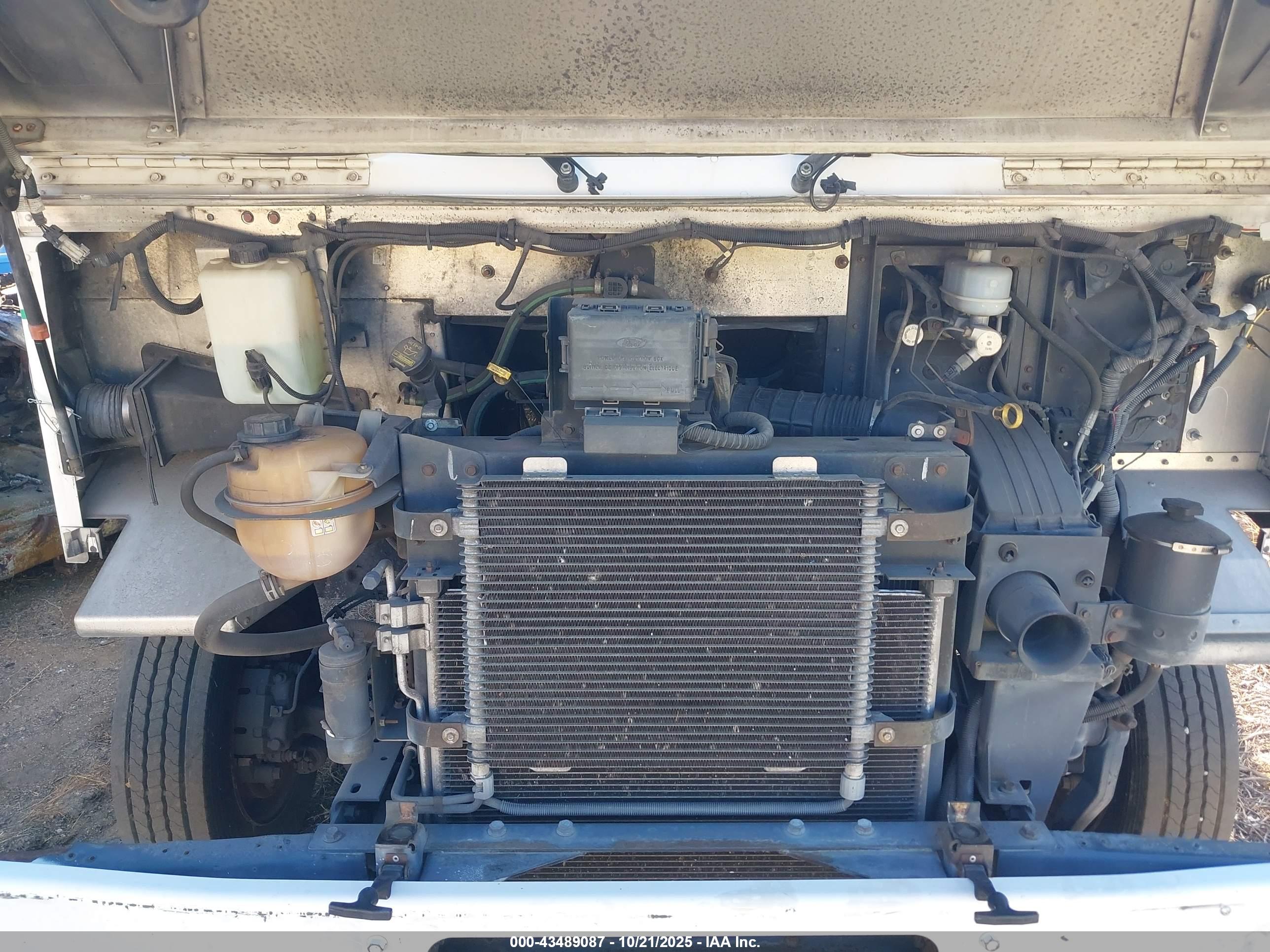 FORD F-59 image 10