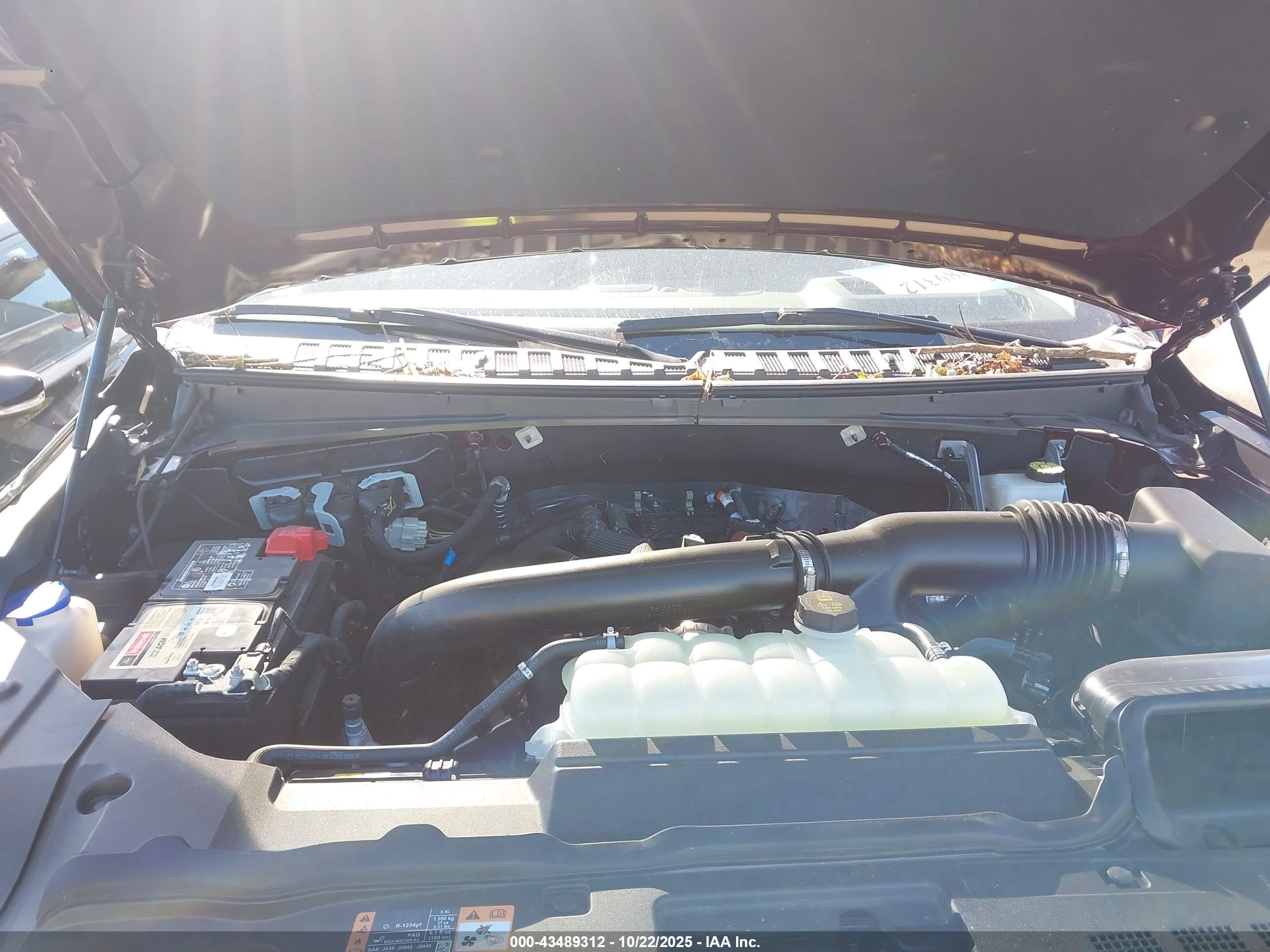 LINCOLN NAVIGATOR image 10