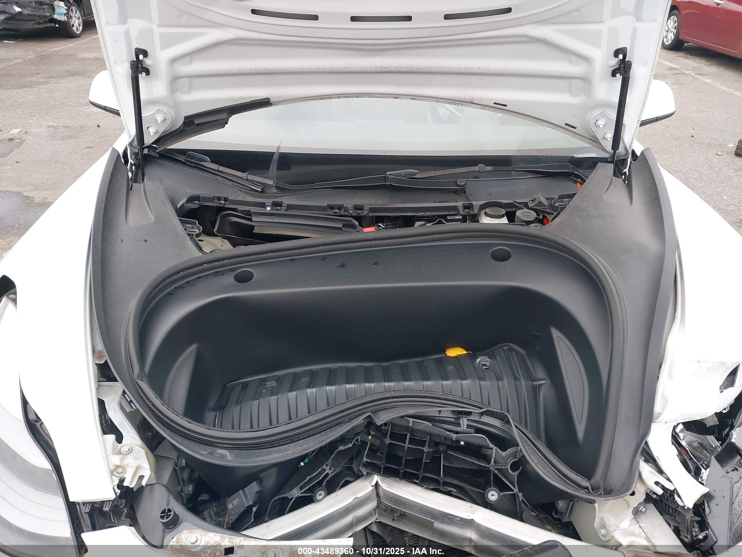 TESLA MODEL image 10