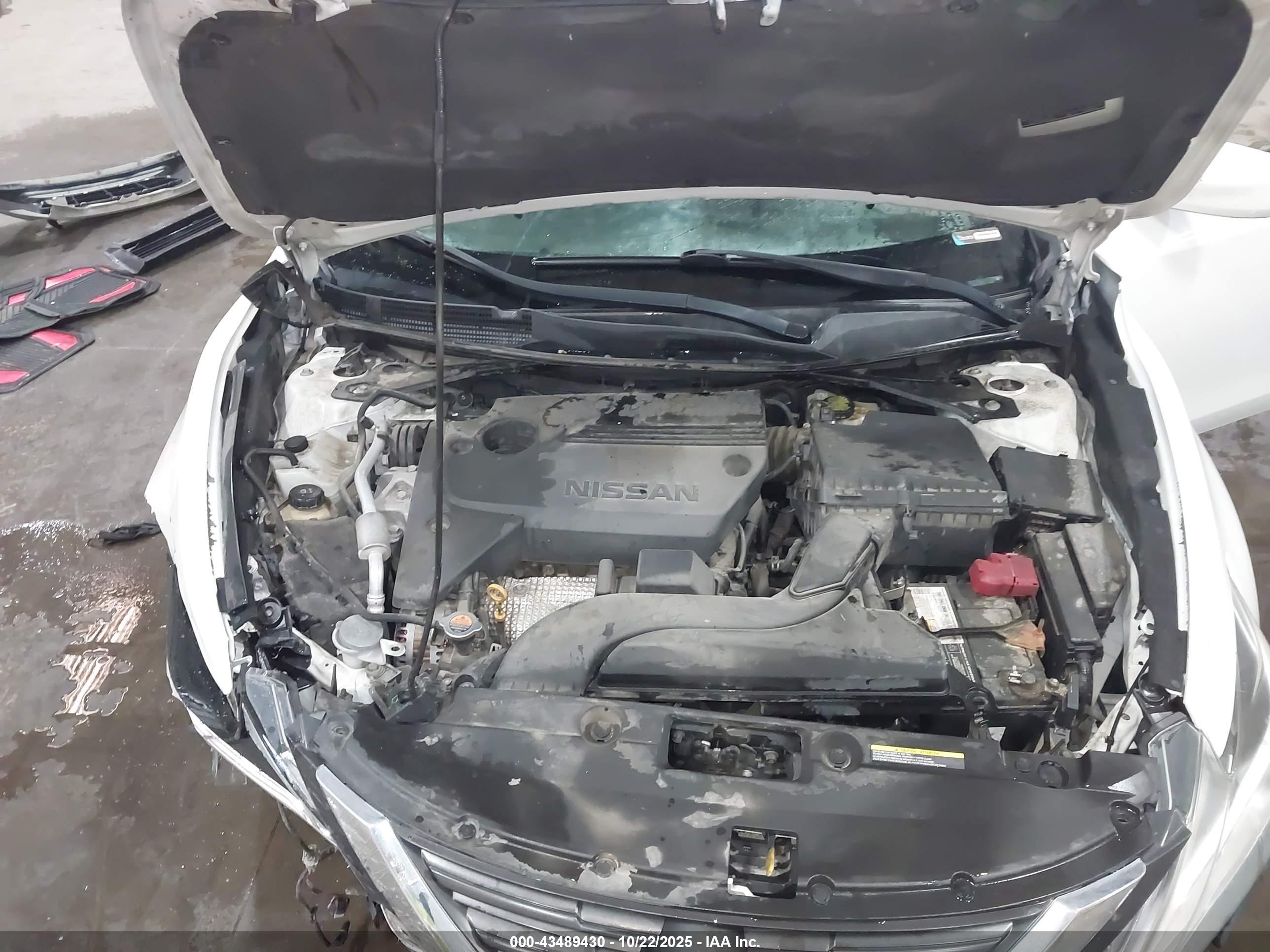 NISSAN ALTIMA image 10