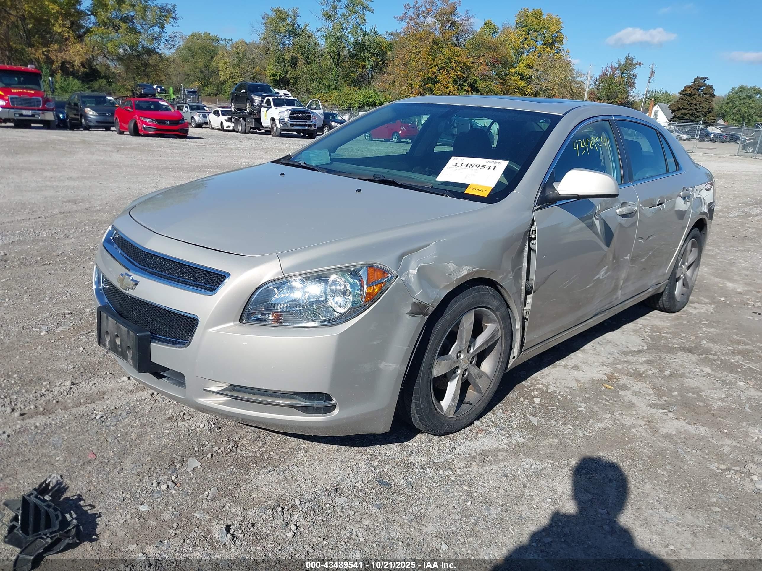 CHEVROLET MALIBU image 2