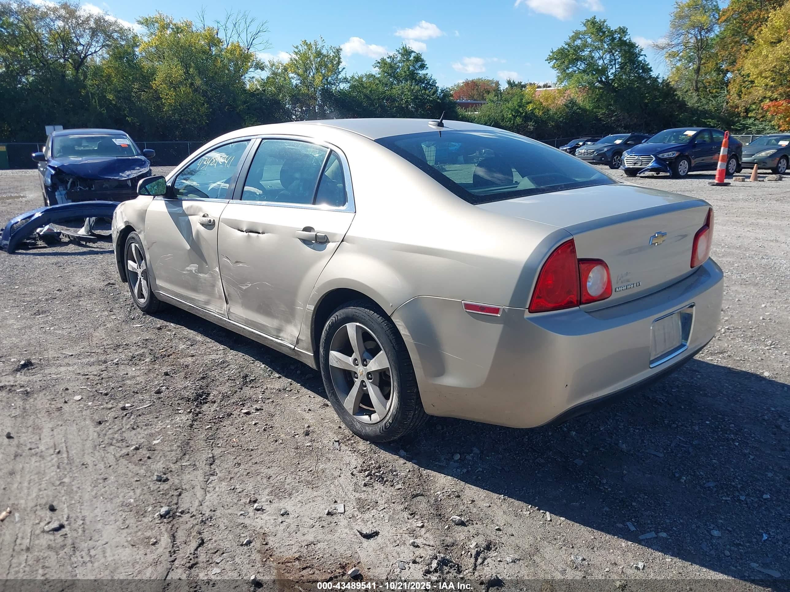 CHEVROLET MALIBU image 3