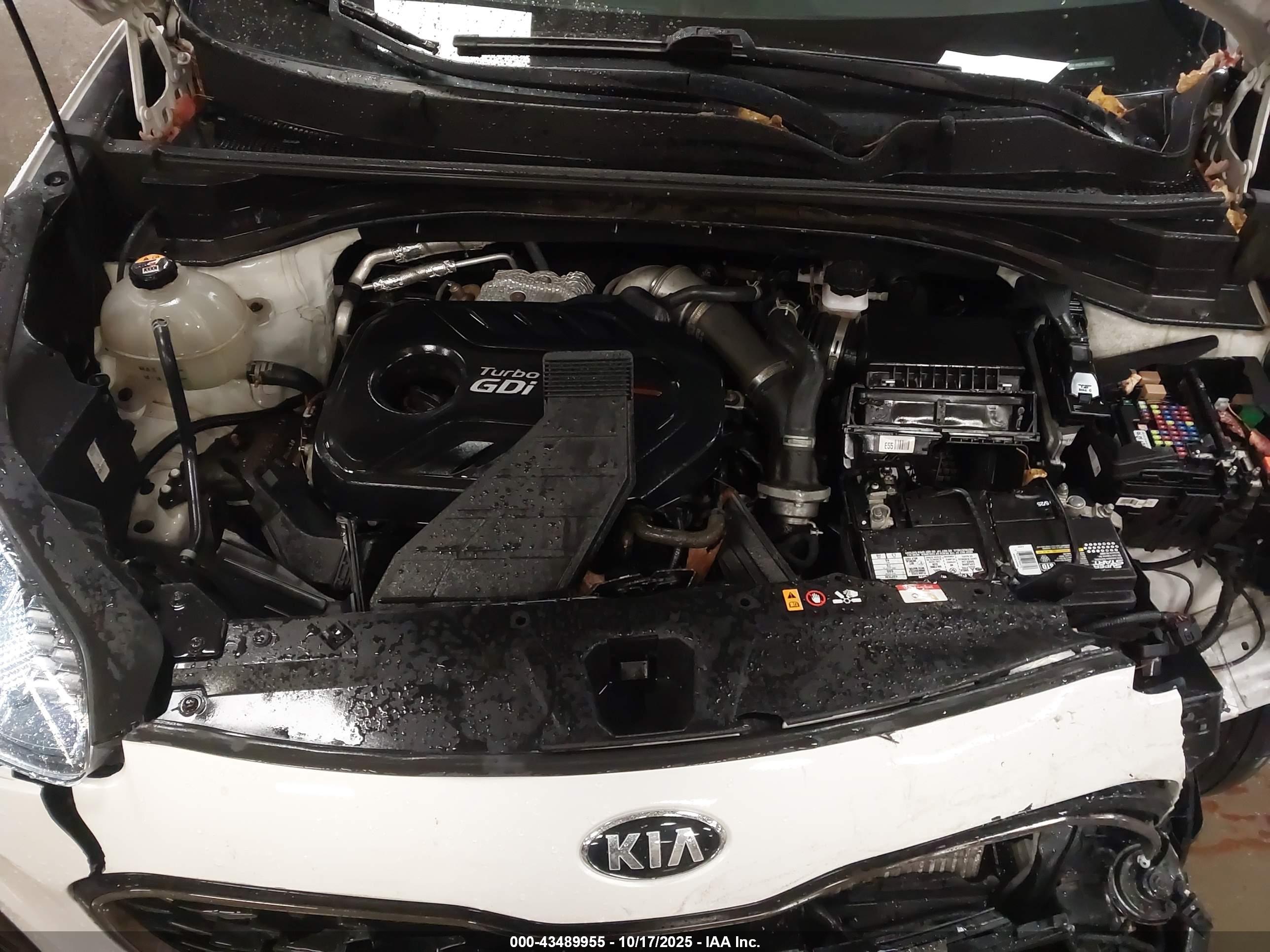 KIA SPORTAGE image 10
