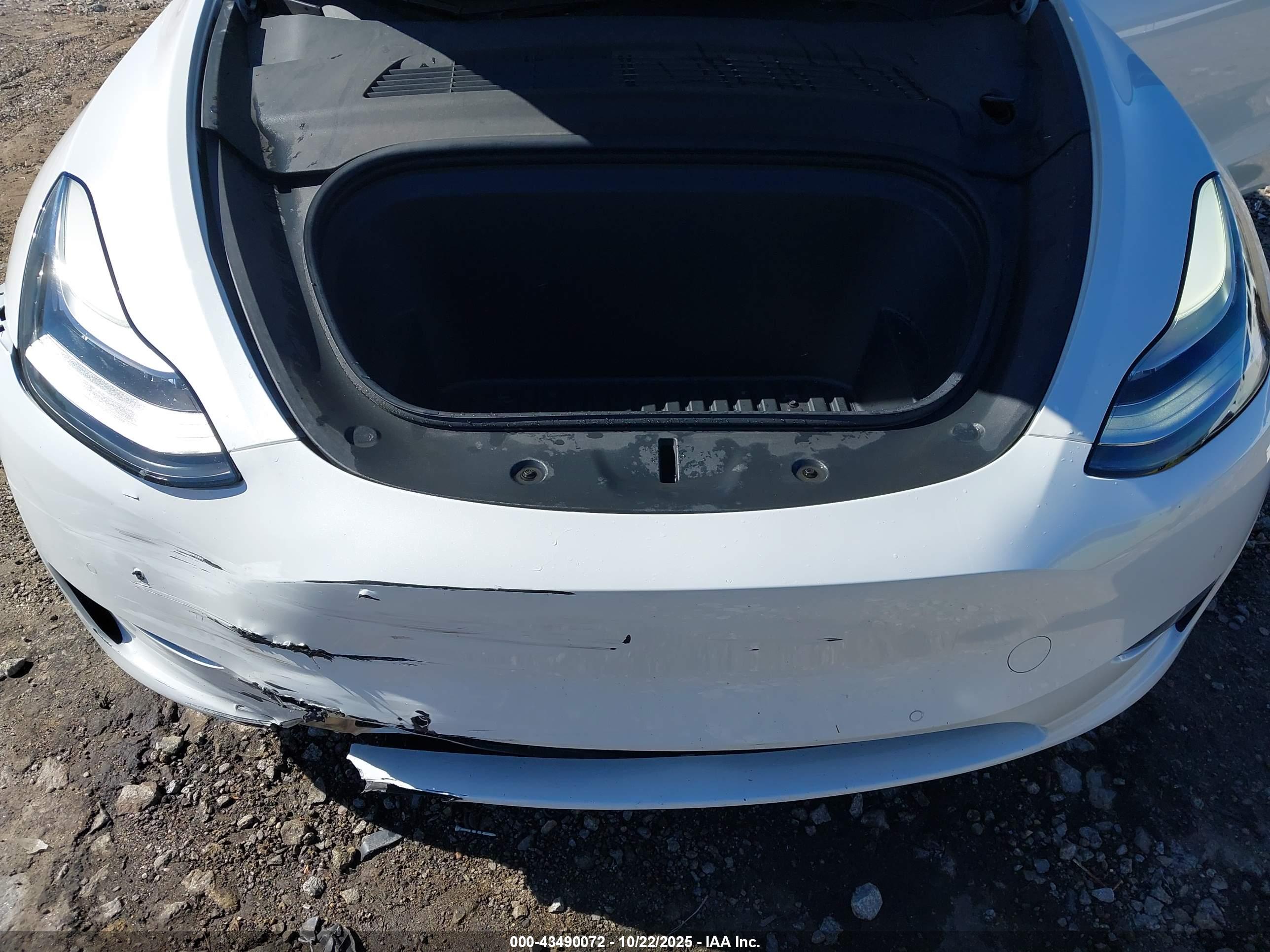 TESLA MODEL image 10