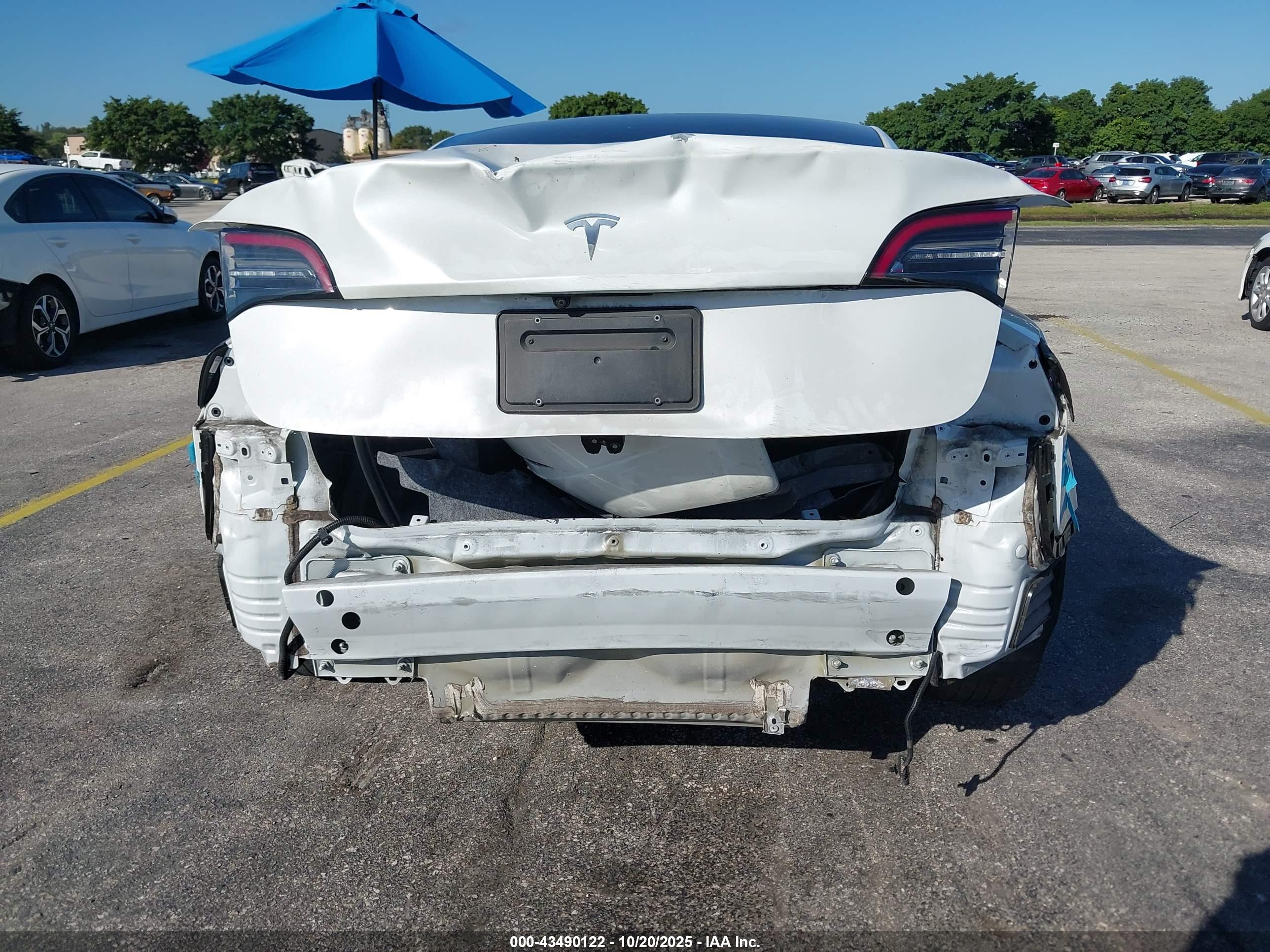 TESLA MODEL image 6