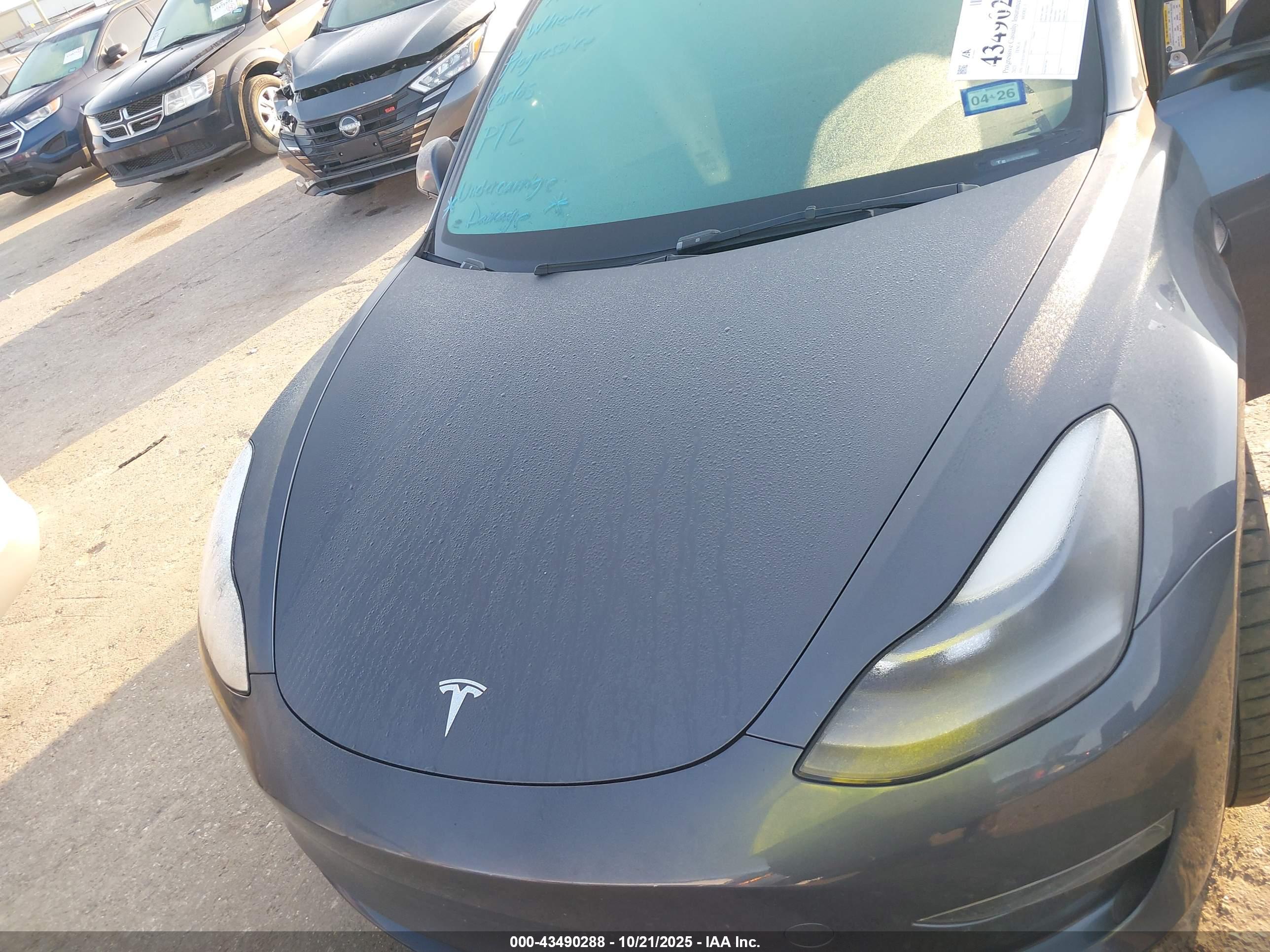TESLA MODEL image 10