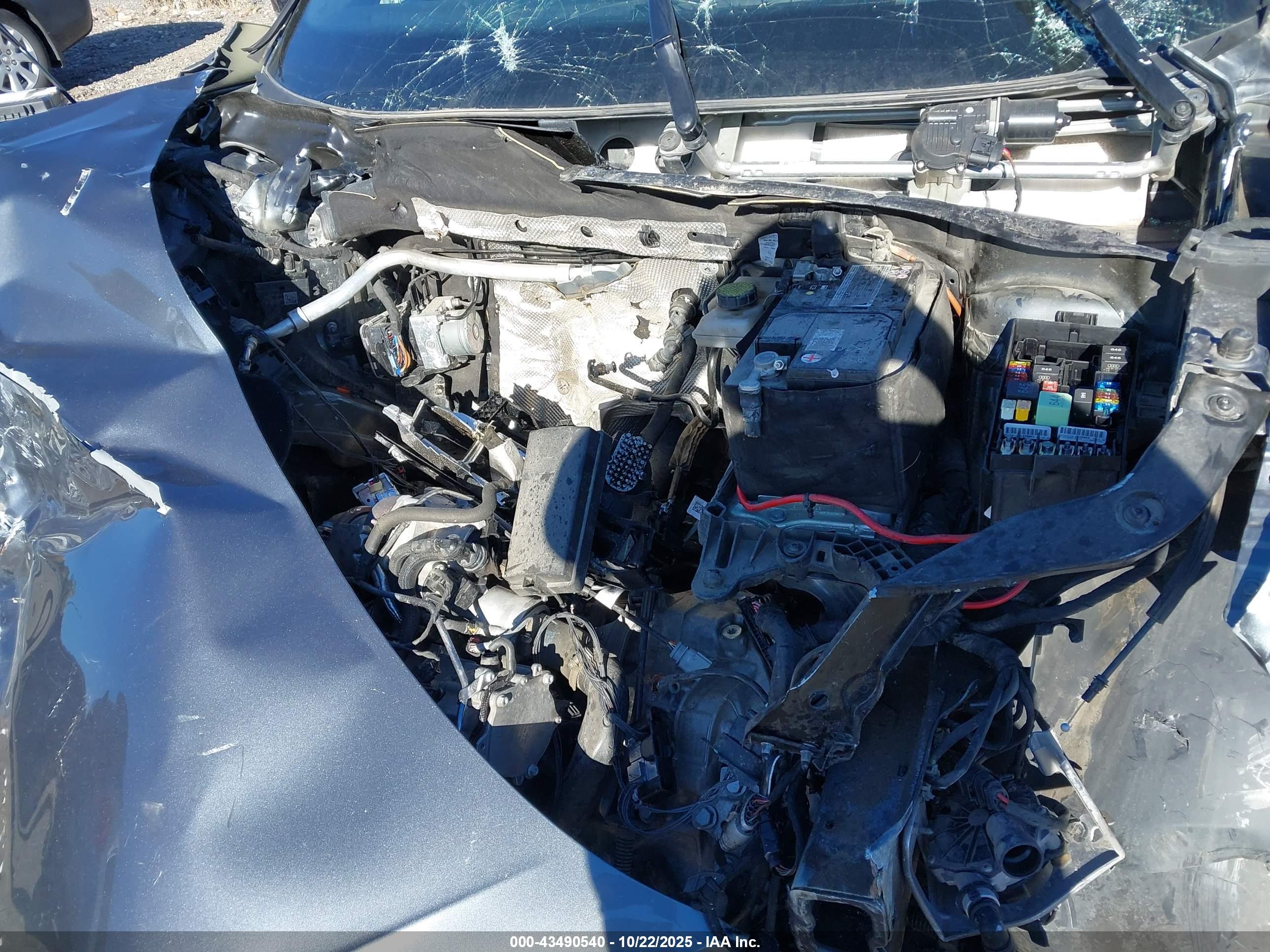 VOLKSWAGEN TIGUAN image 10