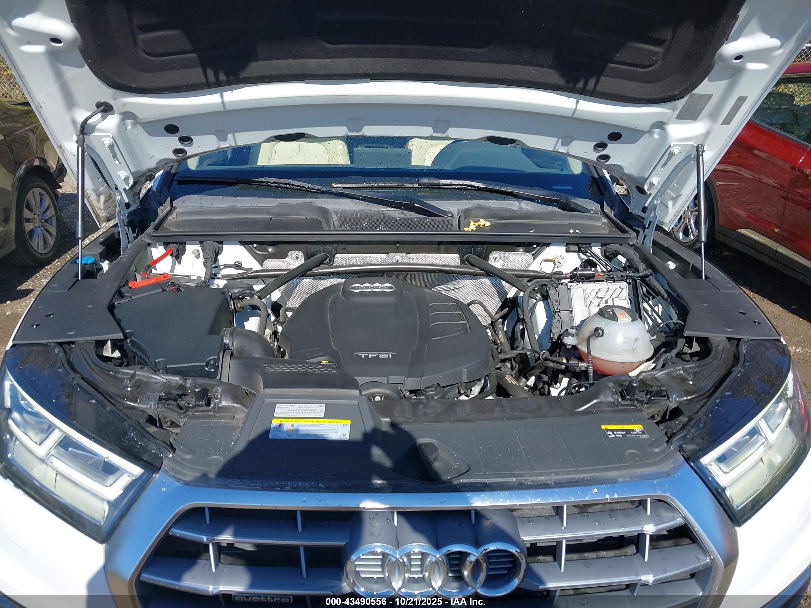 AUDI Q5 image 10