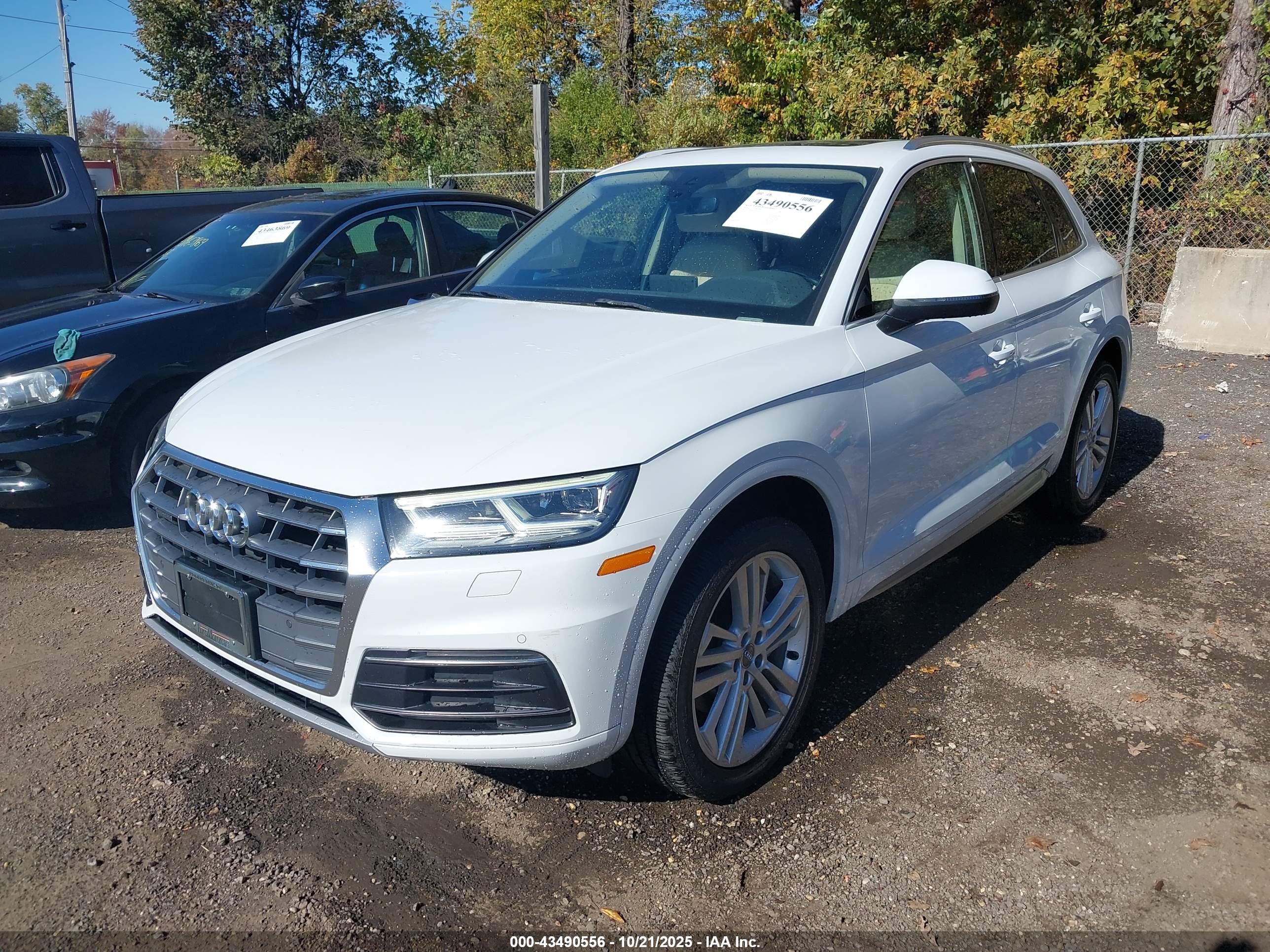 AUDI Q5 image 2