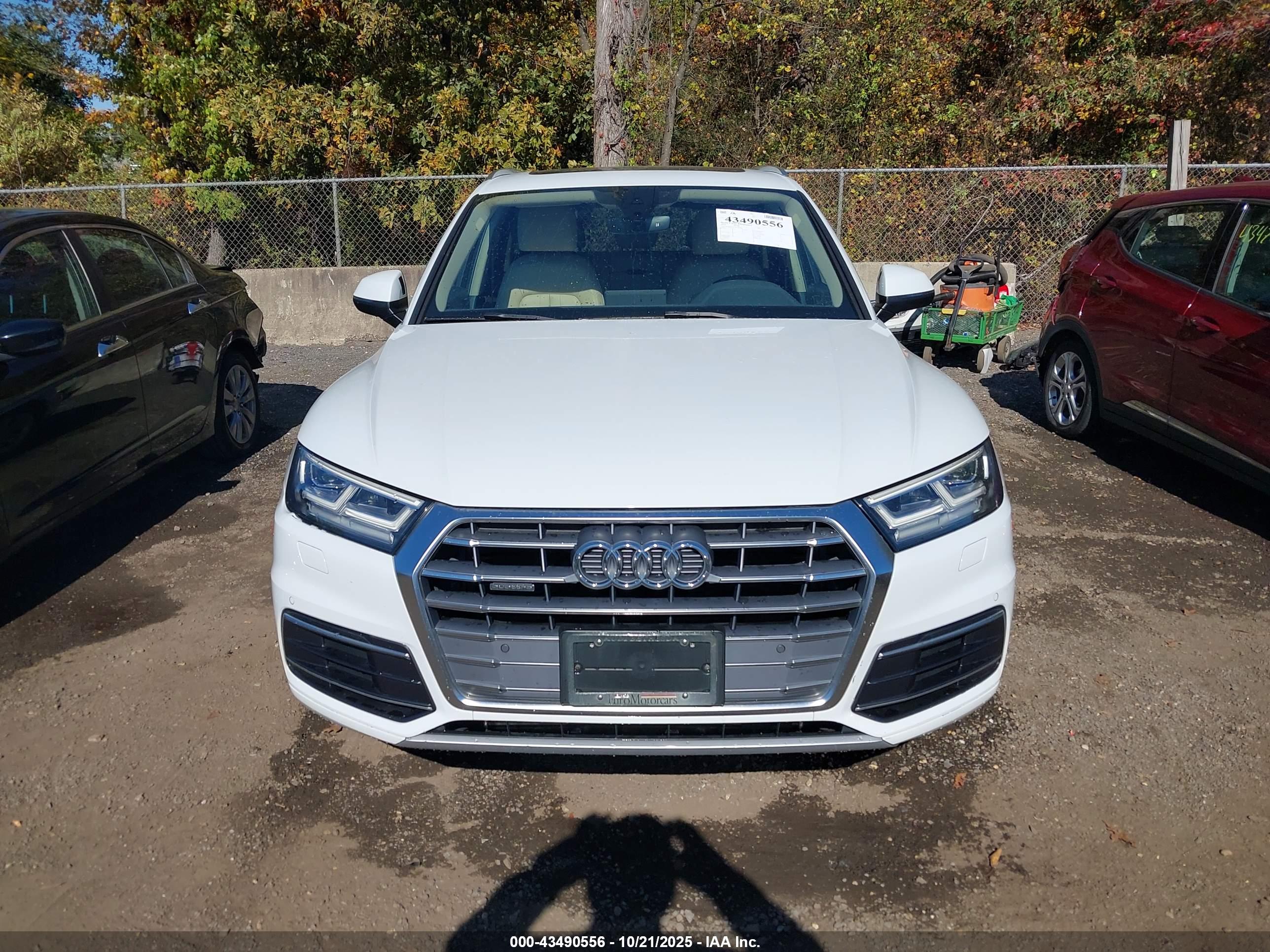 AUDI Q5 image 6