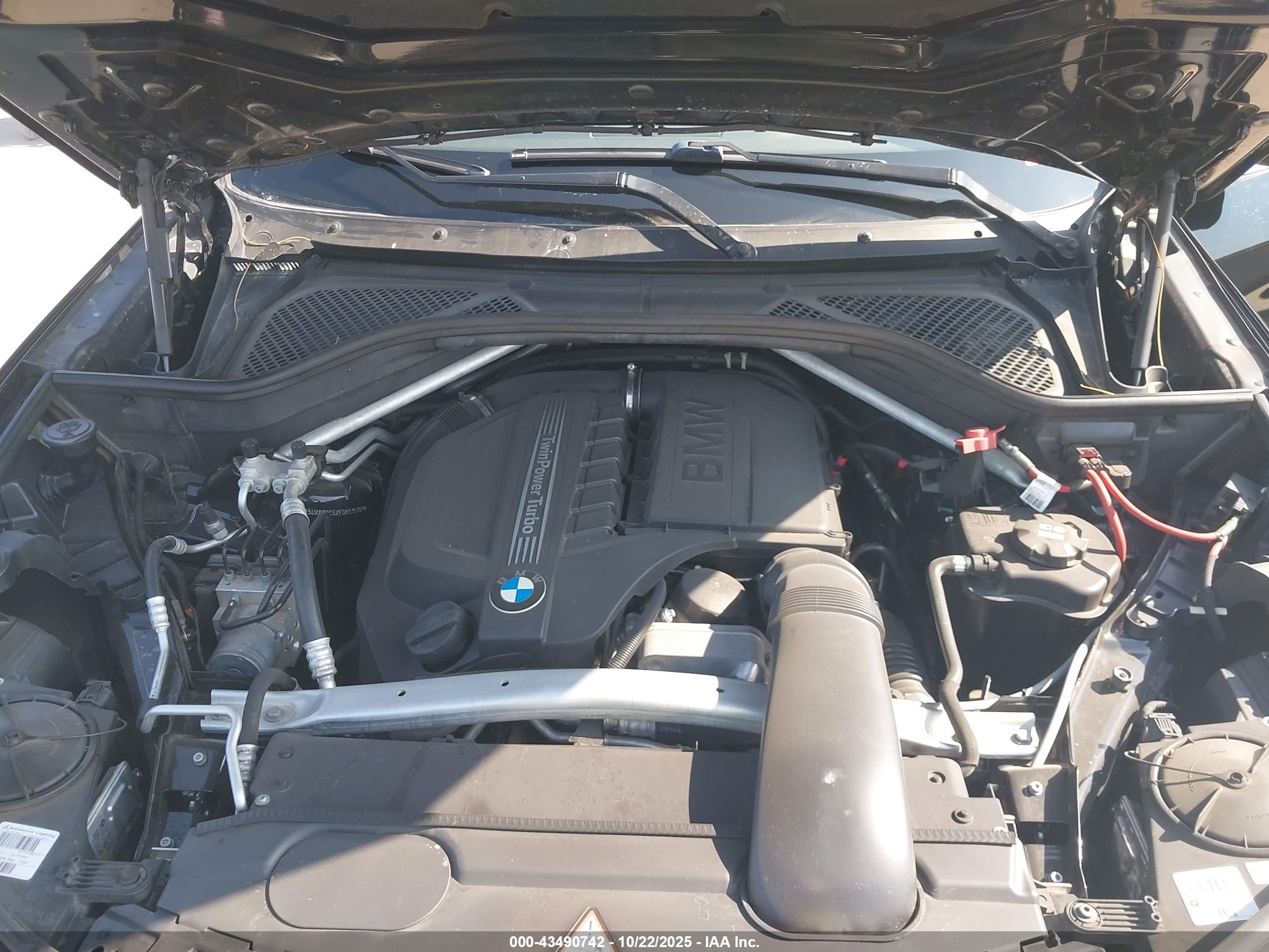 BMW X5 image 10