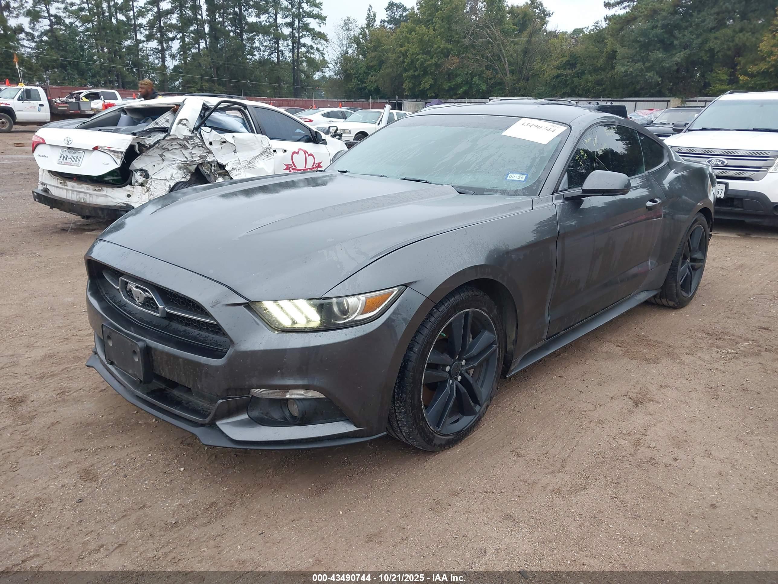 FORD MUSTANG image 2