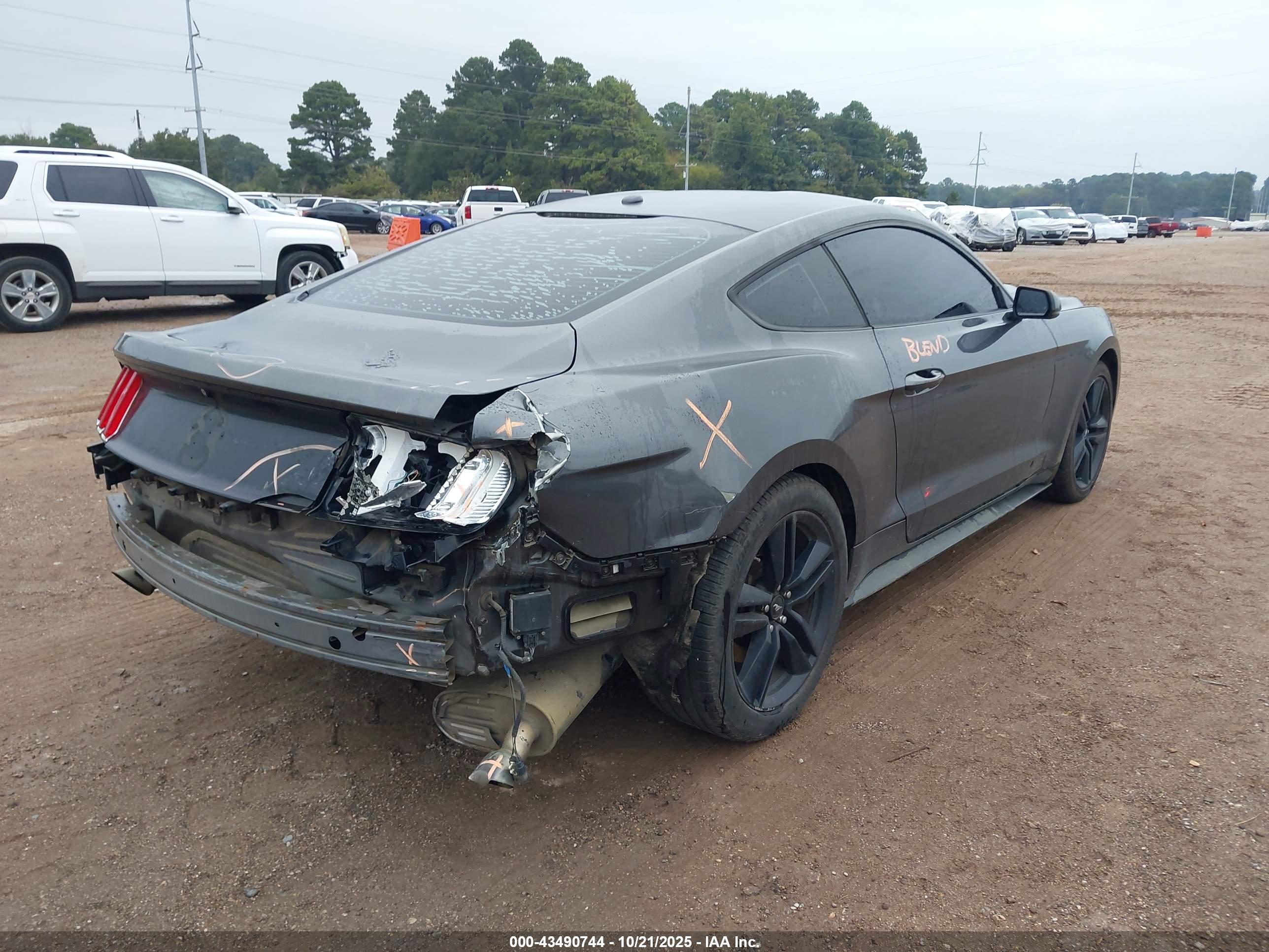 FORD MUSTANG image 4
